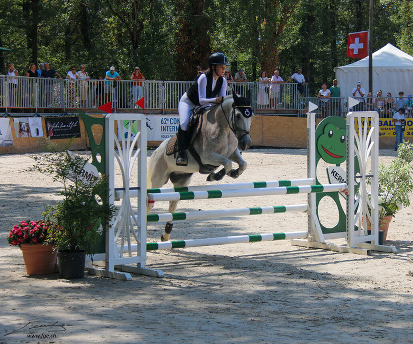 Description de l'image