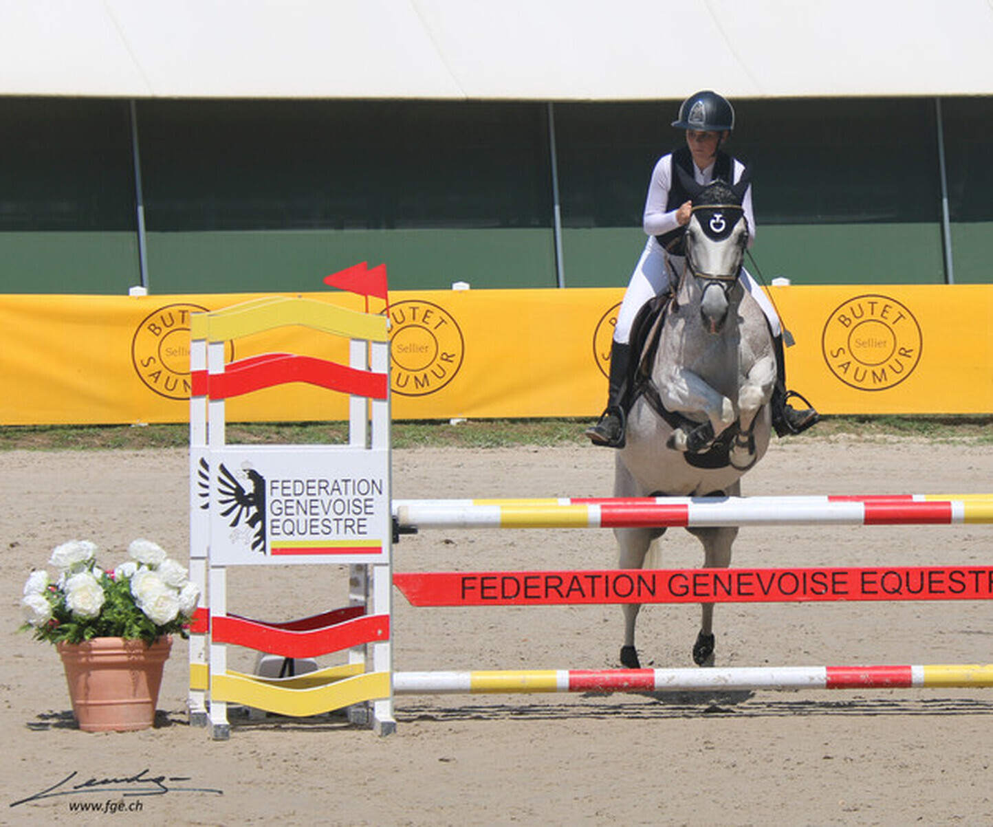 Description de l'image