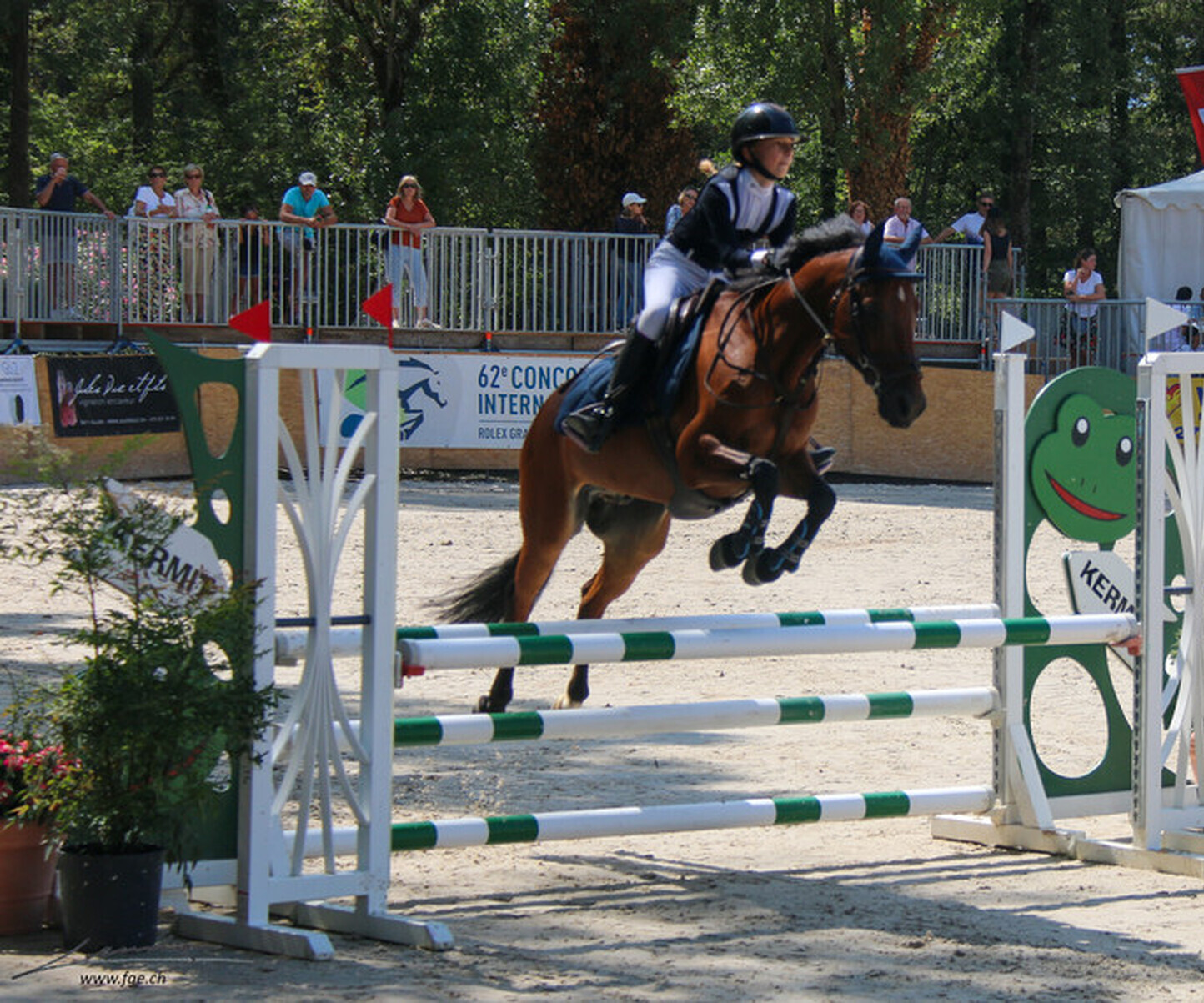 Description de l'image