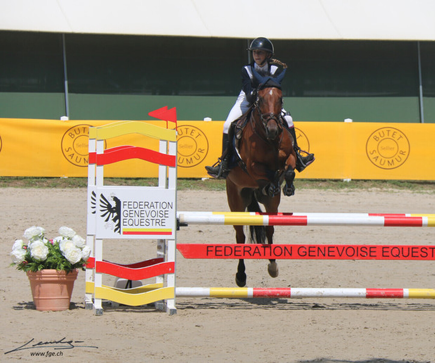 Description de l'image