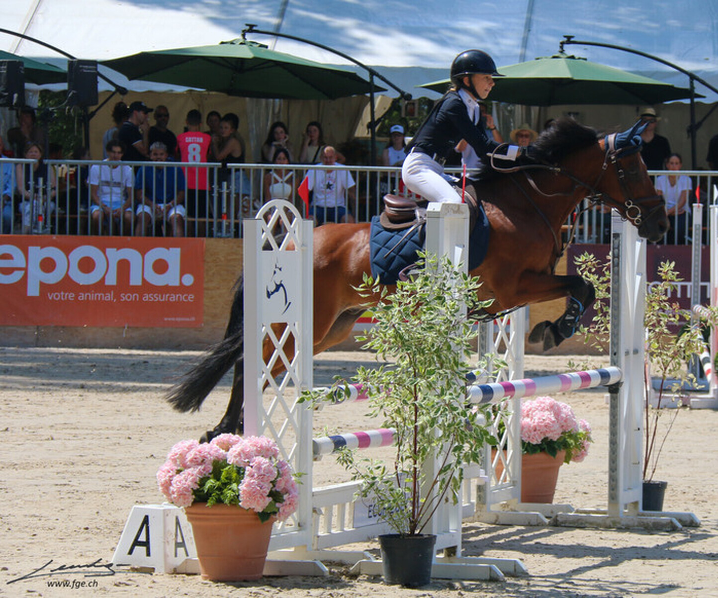 Description de l'image