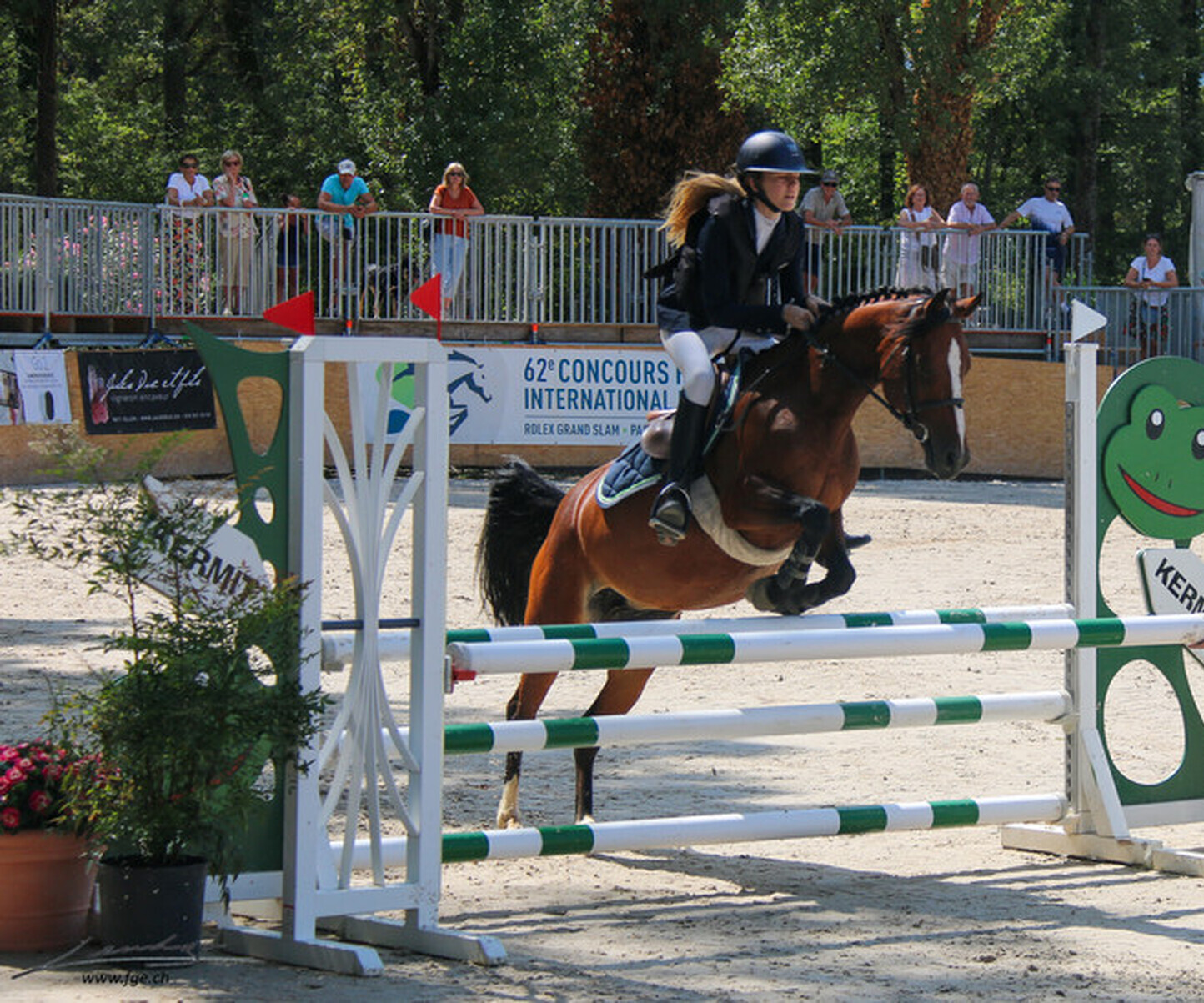 Description de l'image