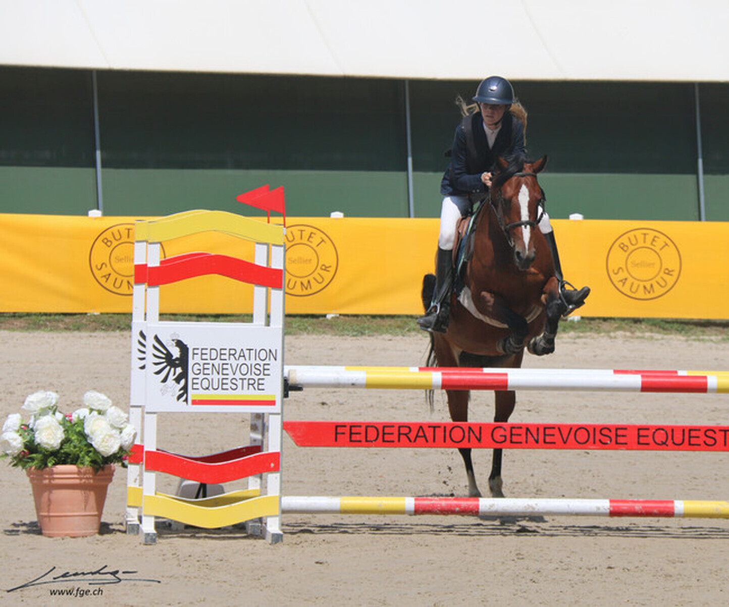 Description de l'image