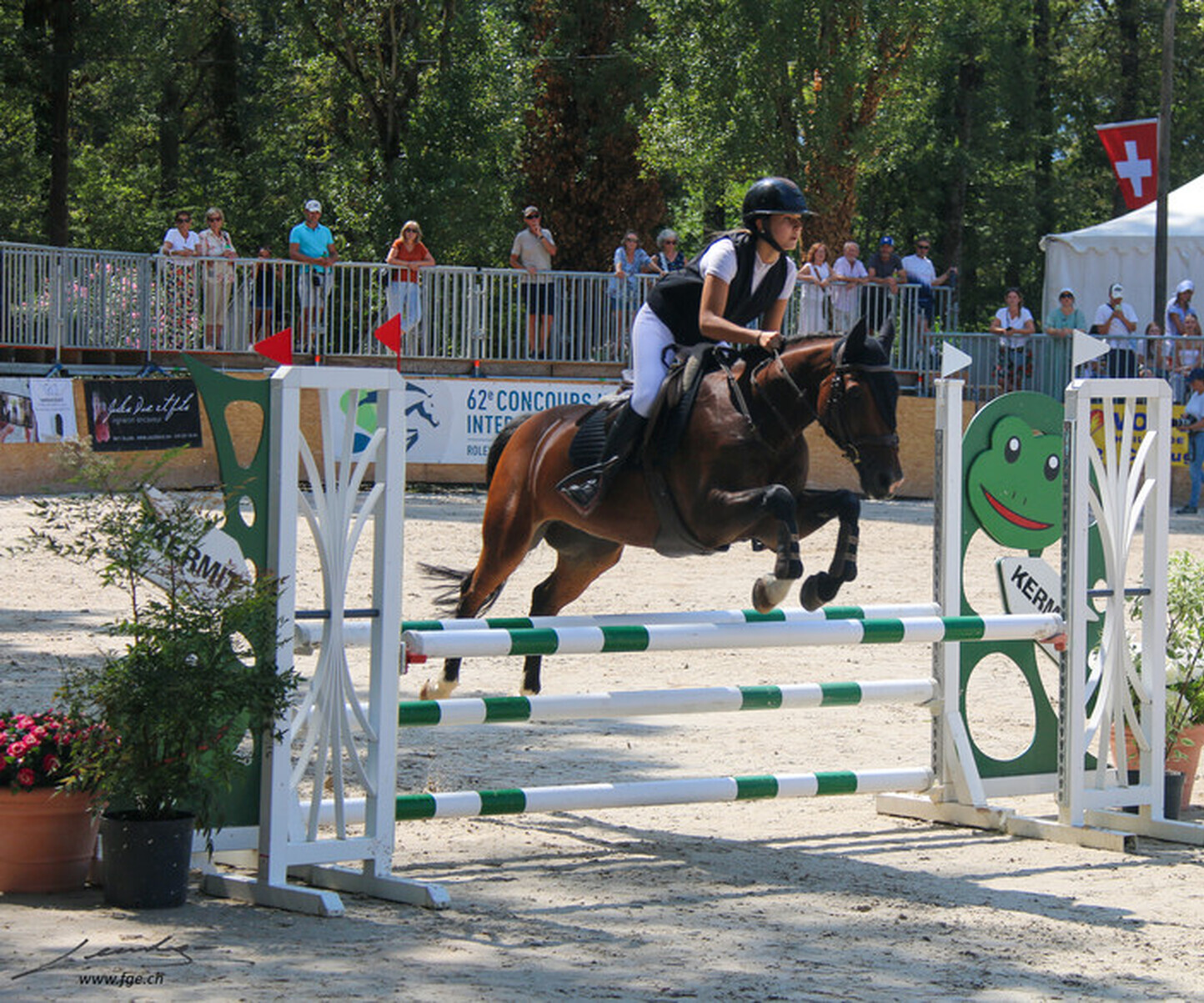 Description de l'image