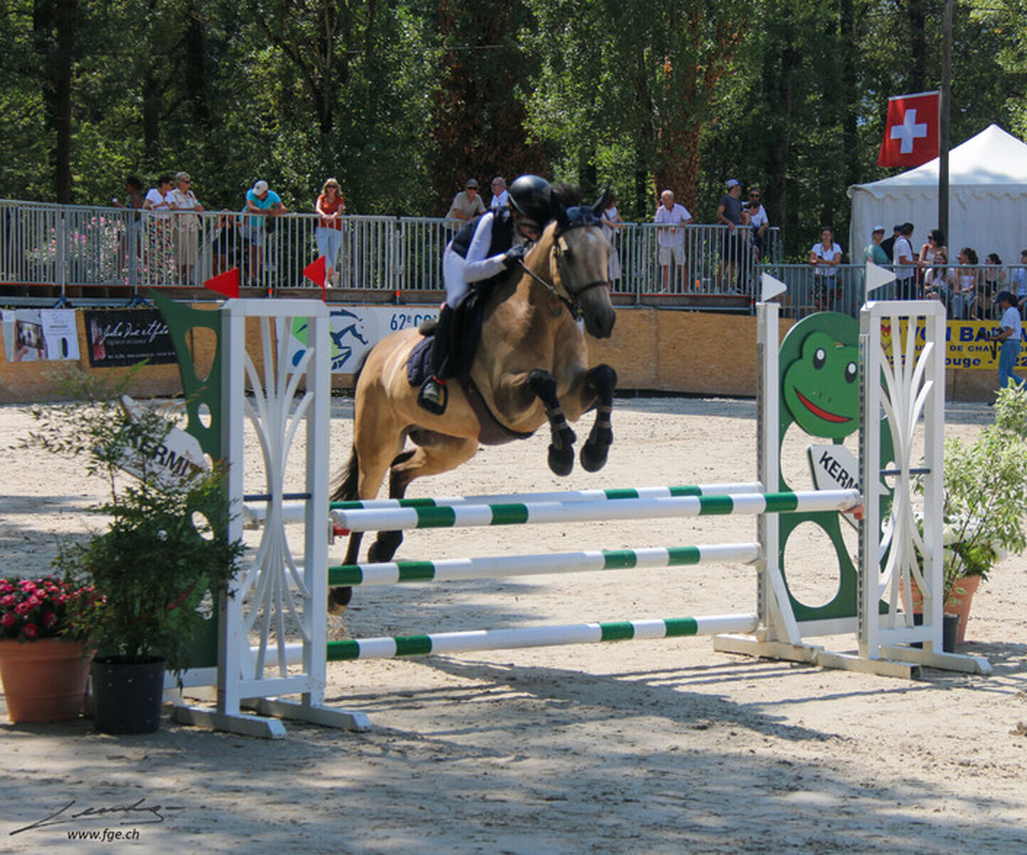 Description de l'image