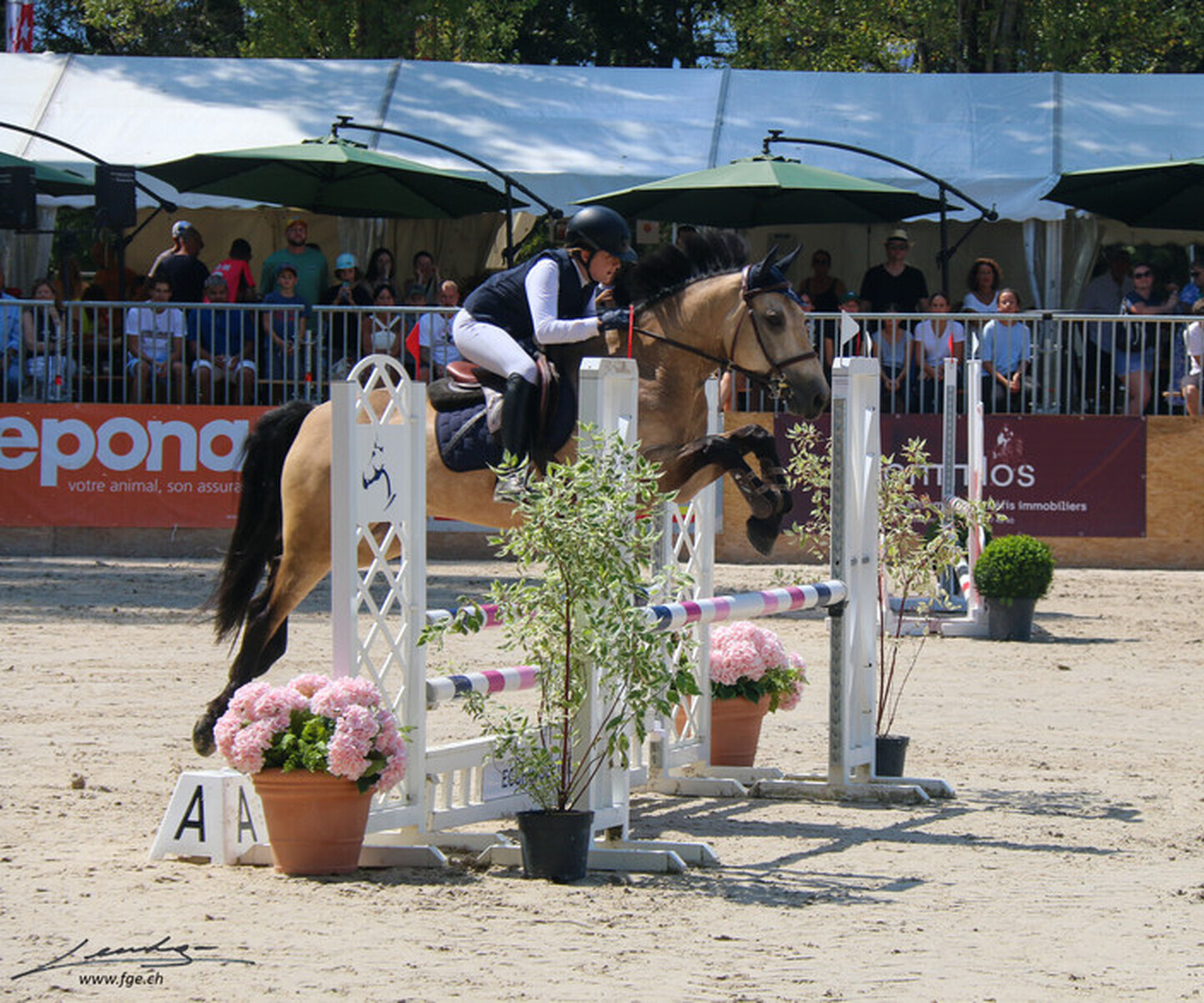 Description de l'image