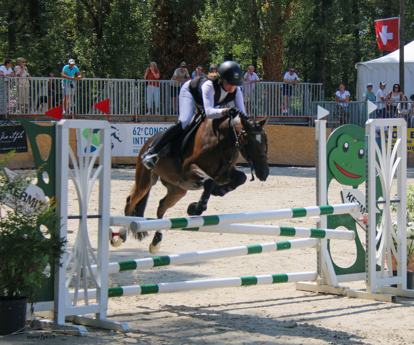 Description de l'image