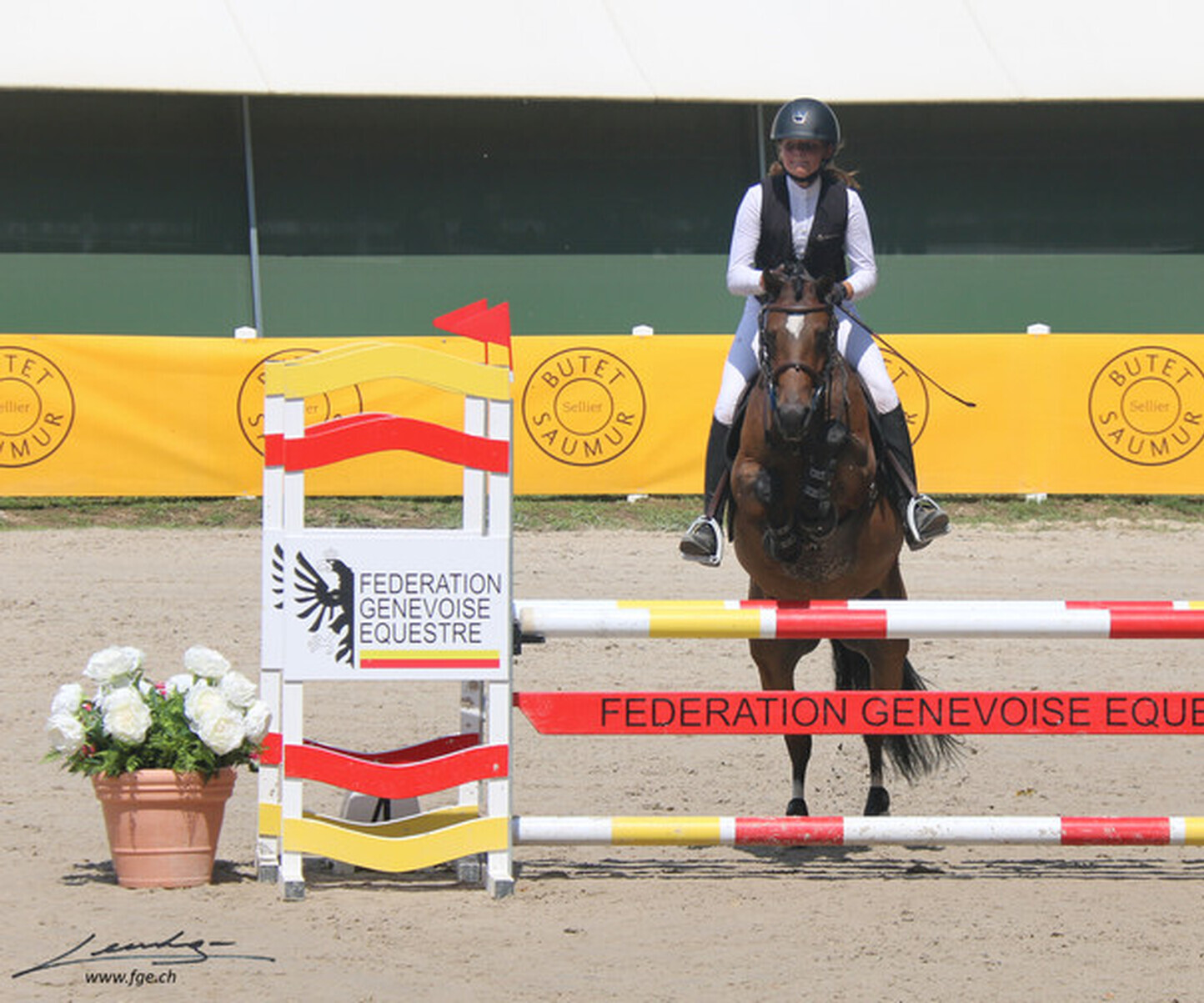 Description de l'image