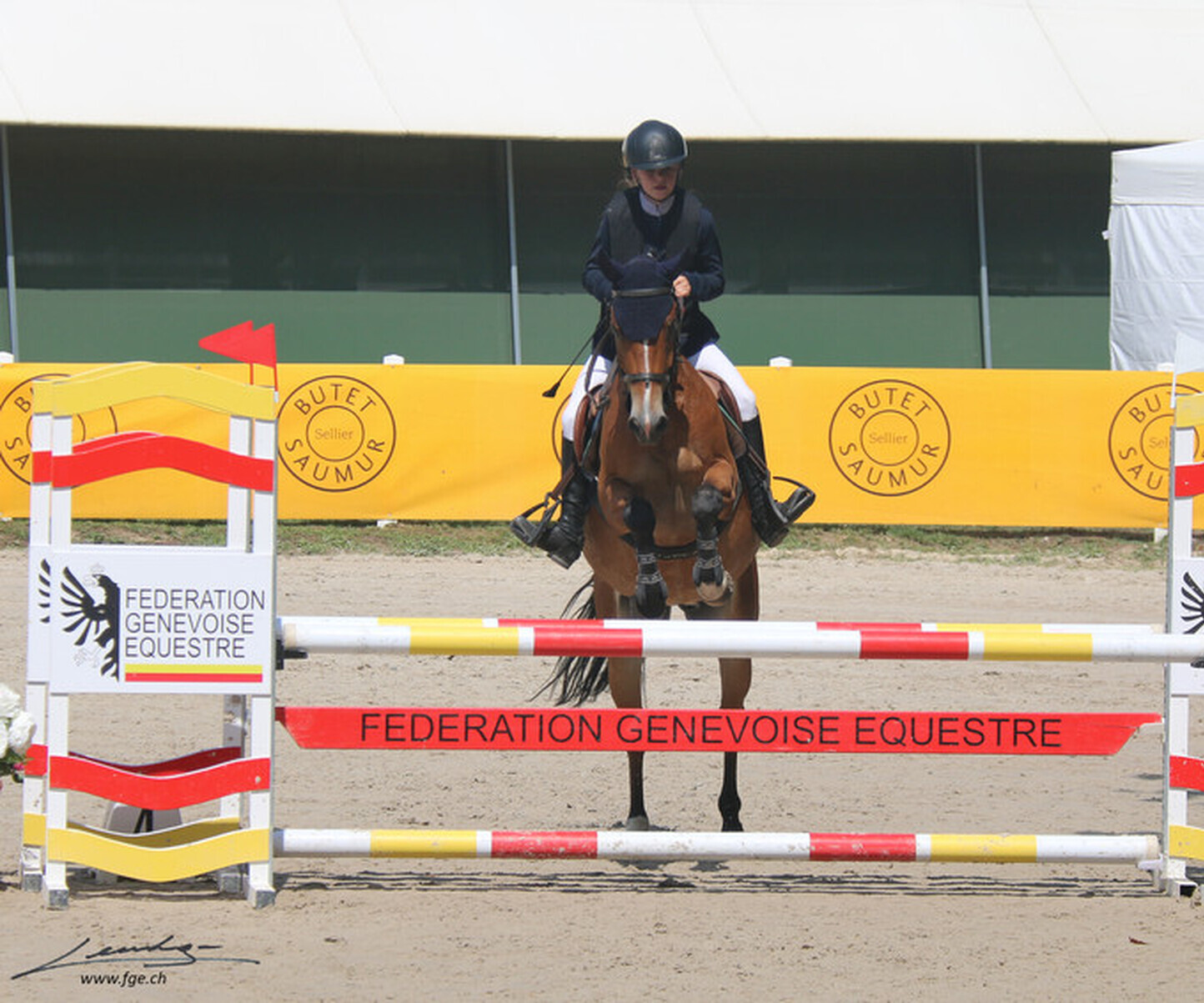 Description de l'image