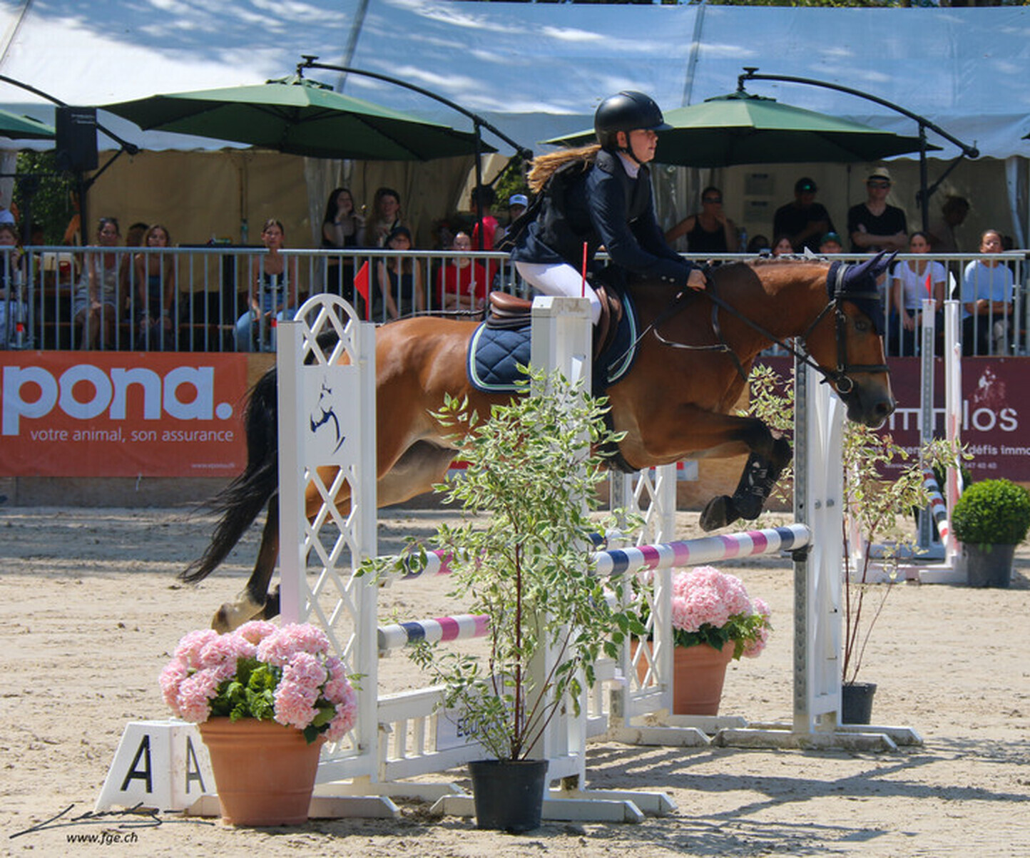 Description de l'image