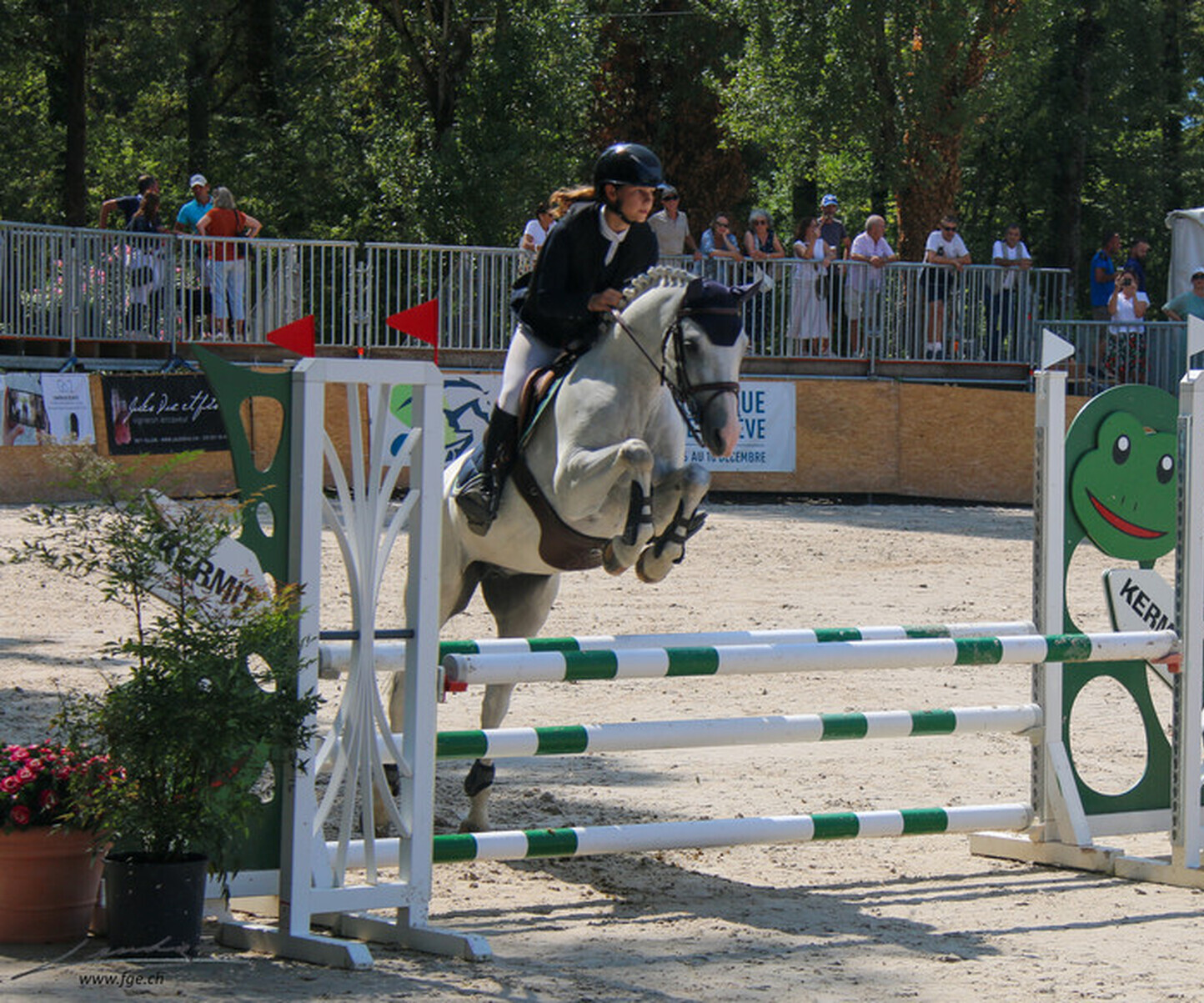 Description de l'image