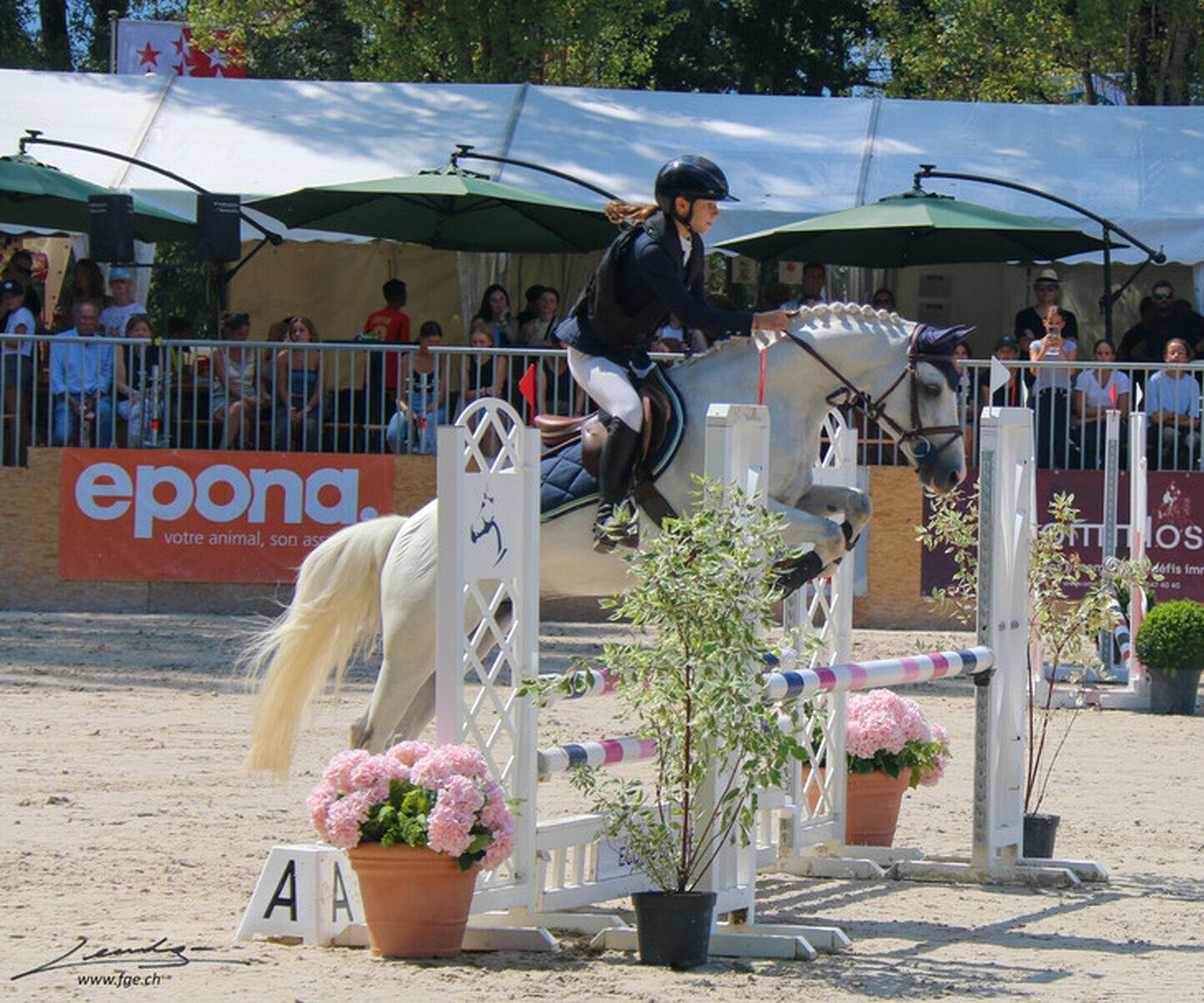 Description de l'image