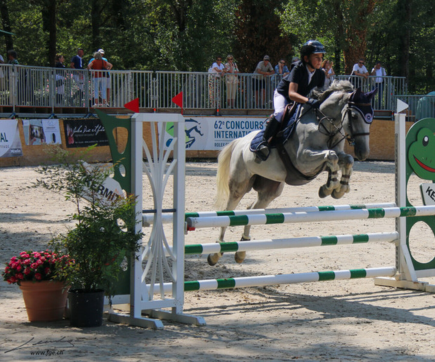 Description de l'image