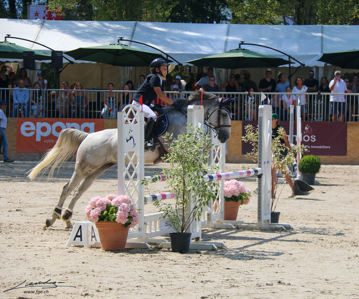 Description de l'image