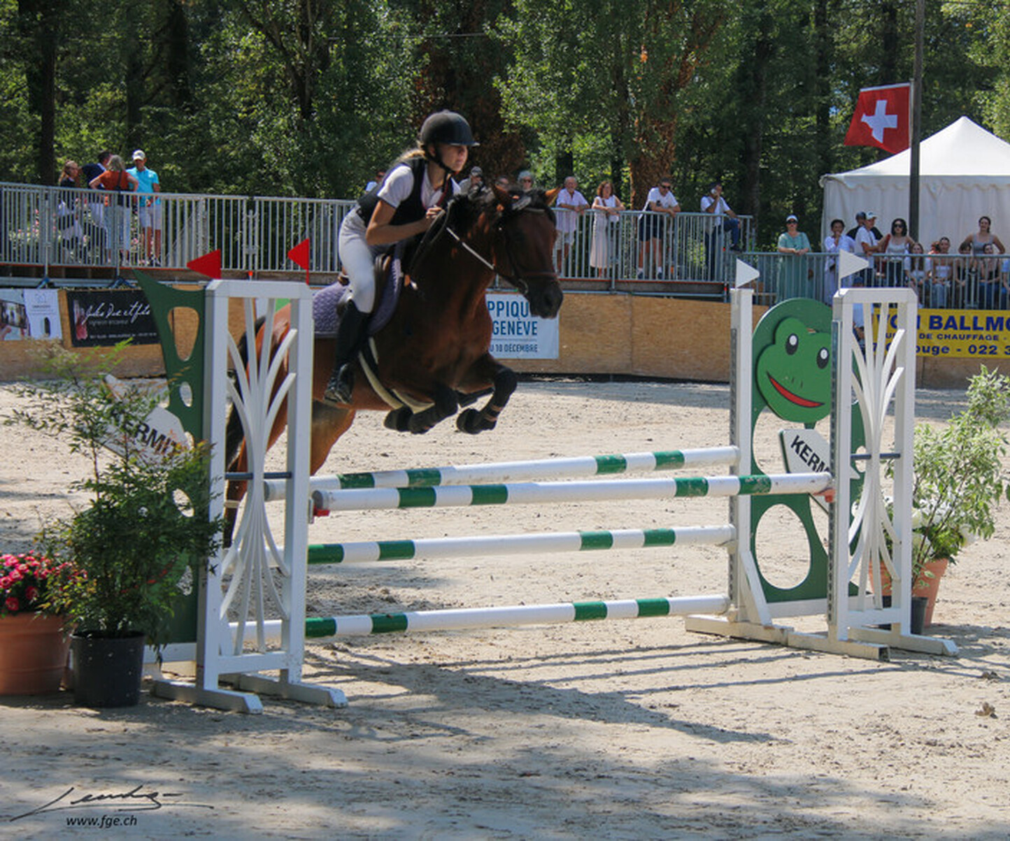 Description de l'image