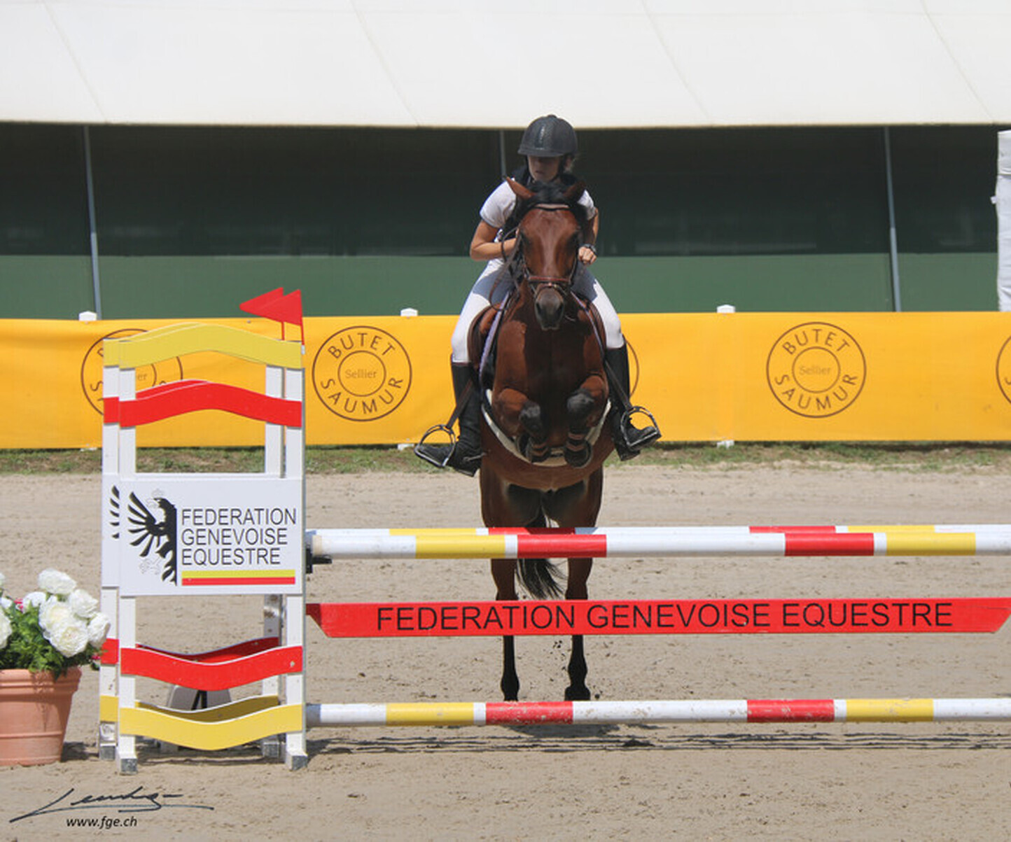 Description de l'image