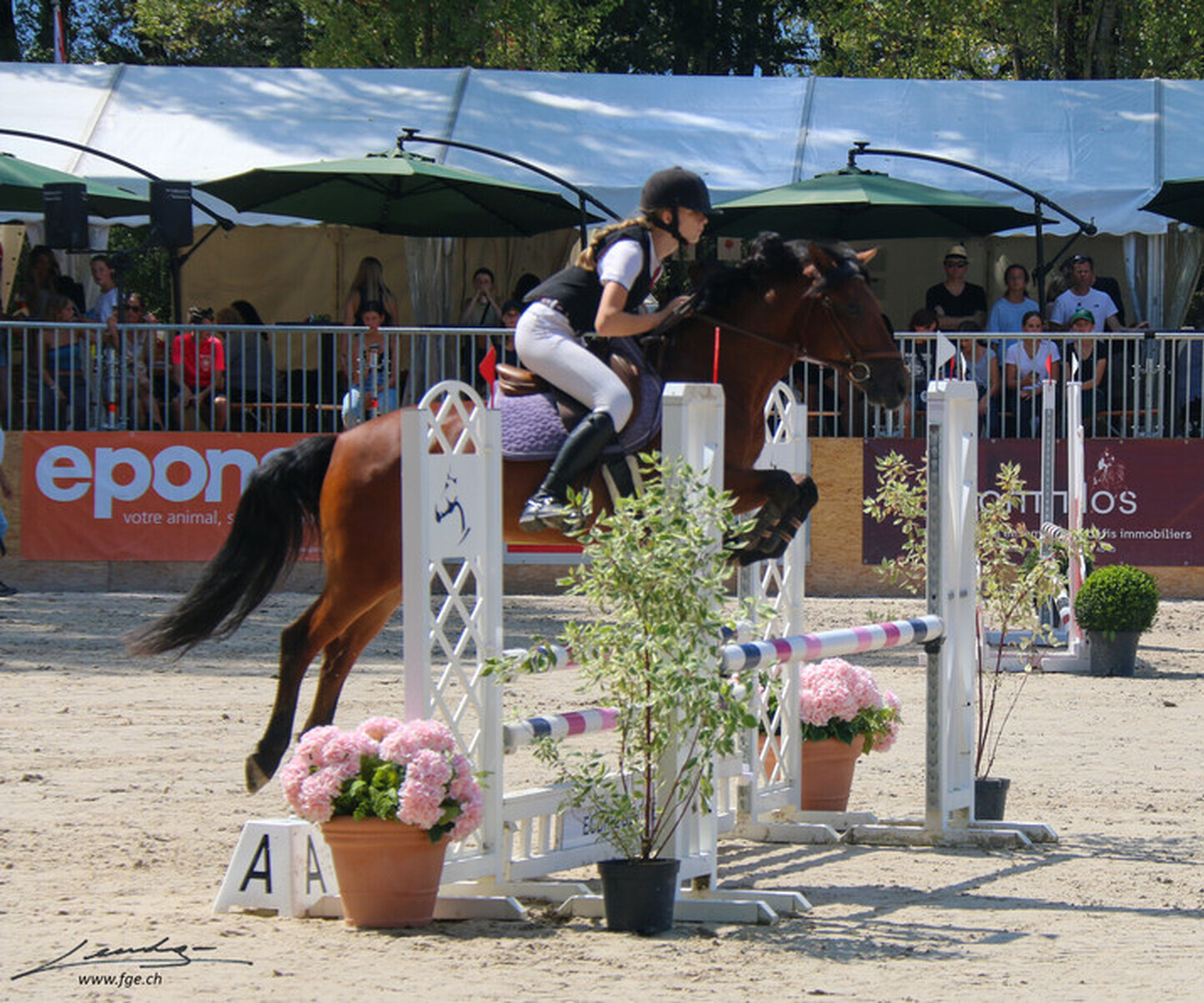 Description de l'image