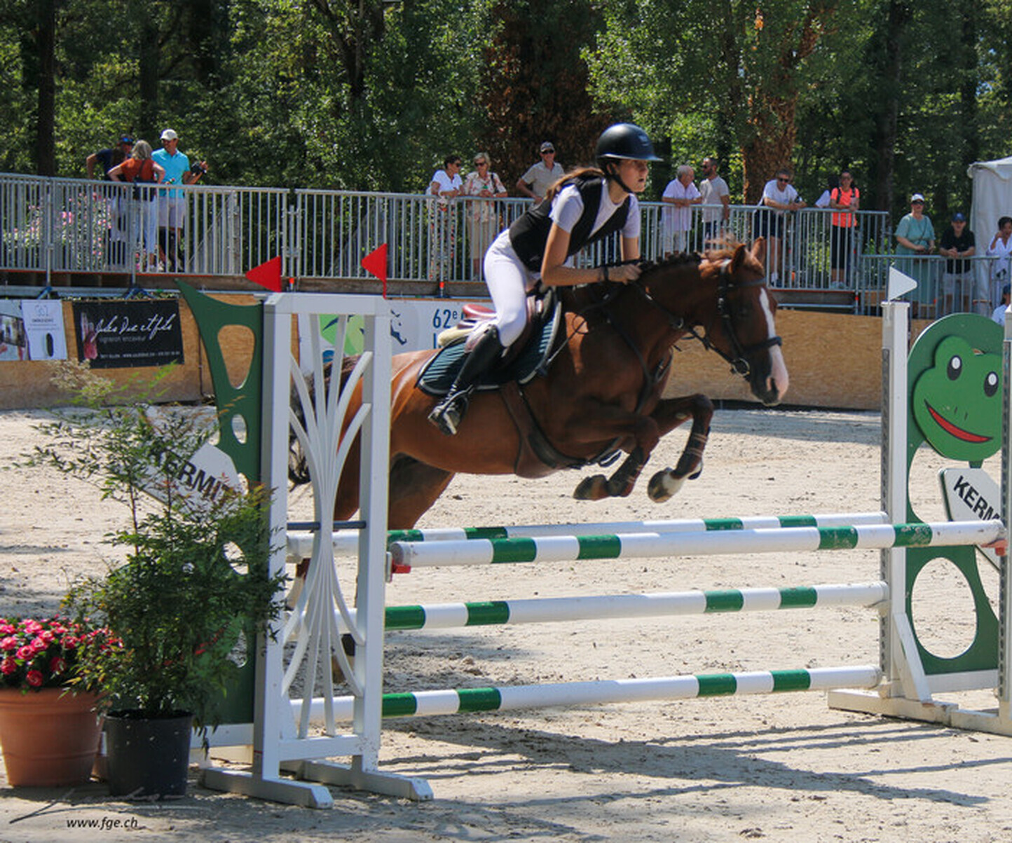 Description de l'image