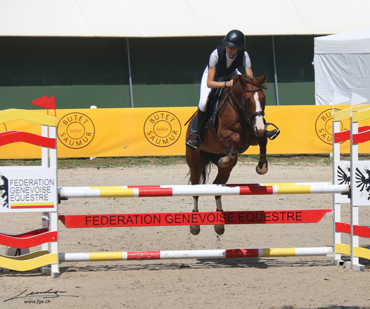 Description de l'image