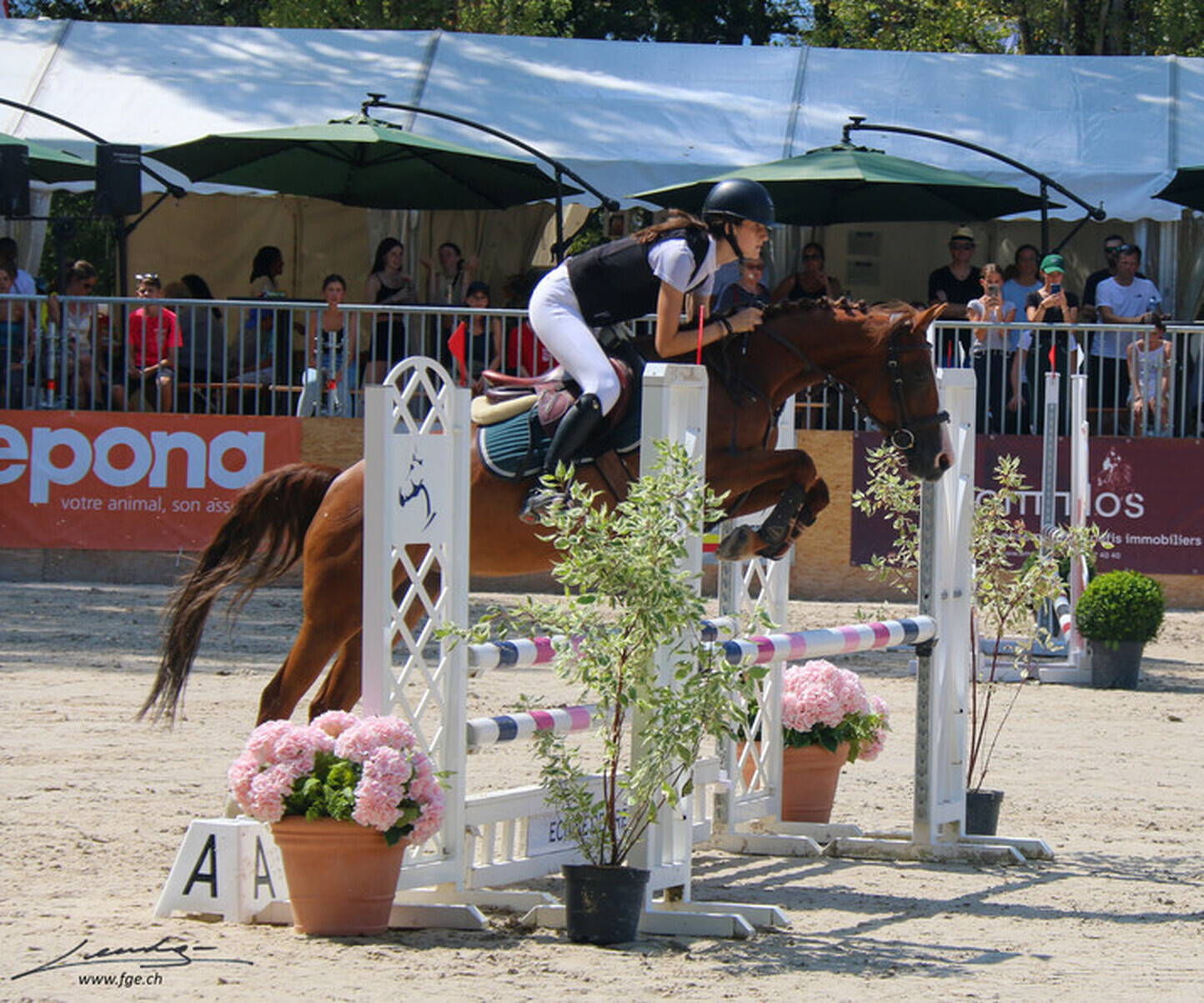 Description de l'image