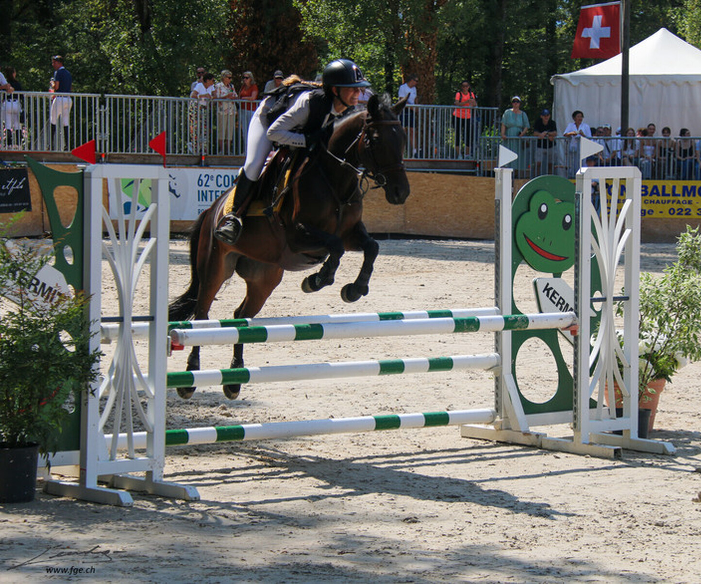 Description de l'image