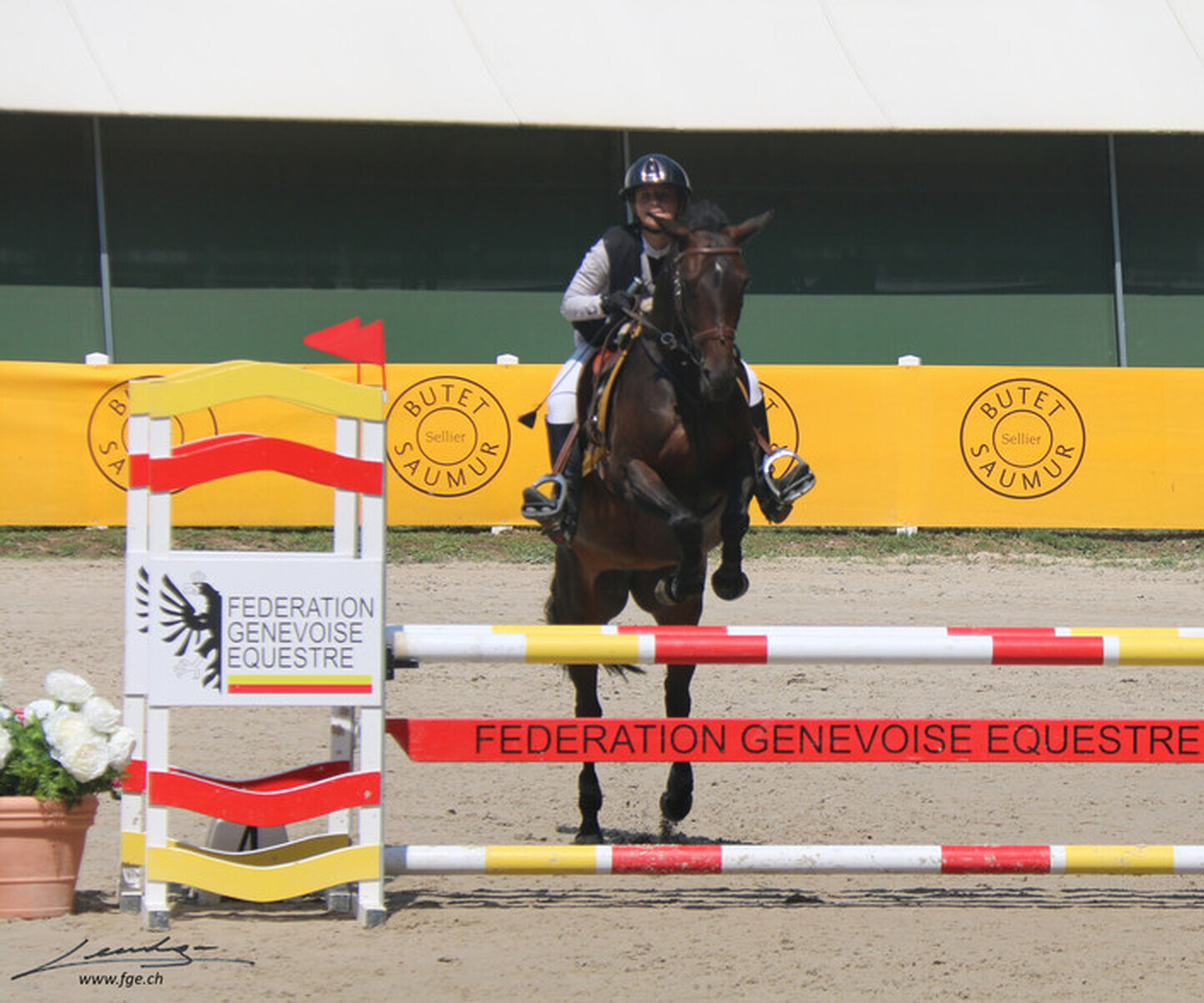 Description de l'image