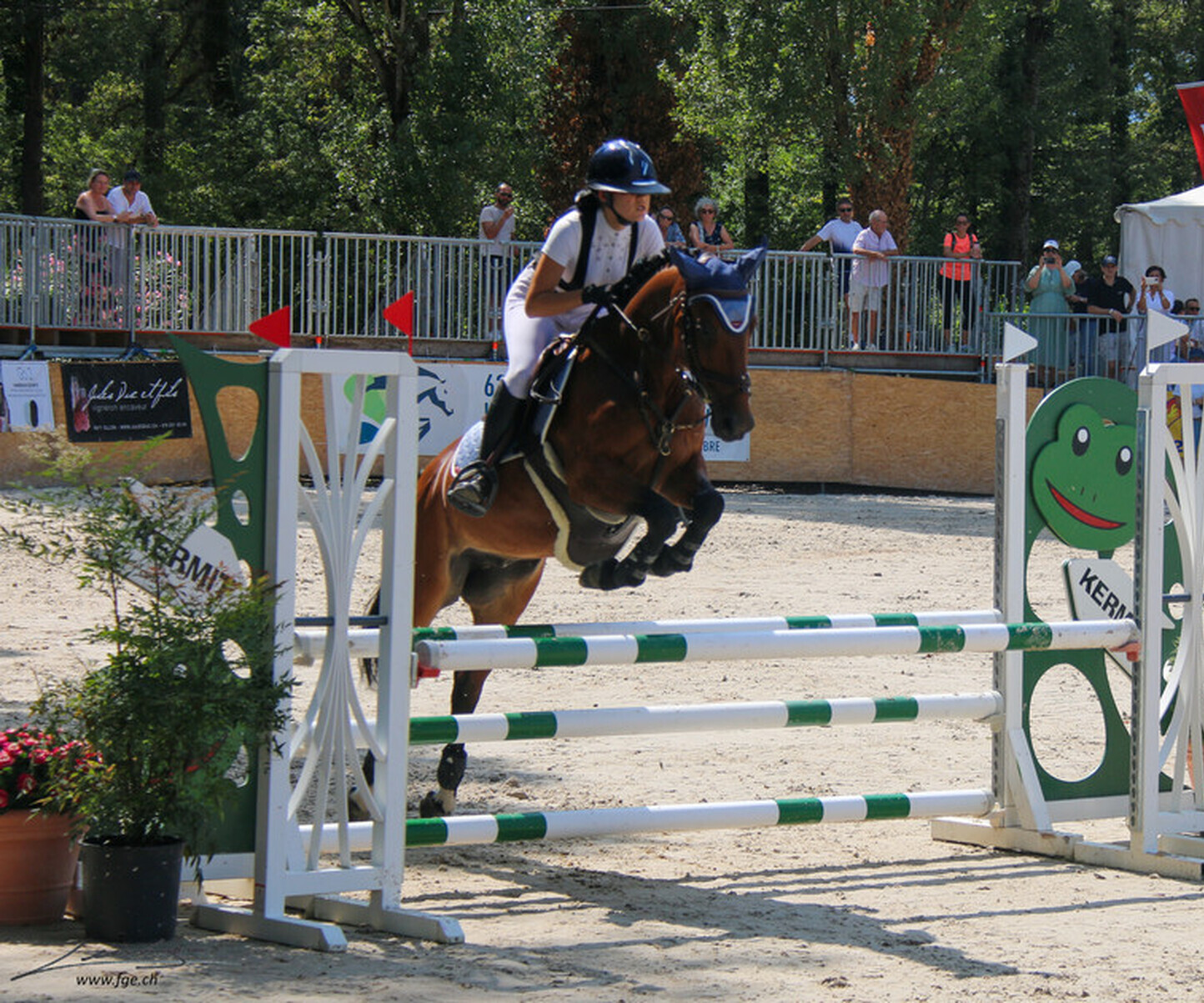 Description de l'image