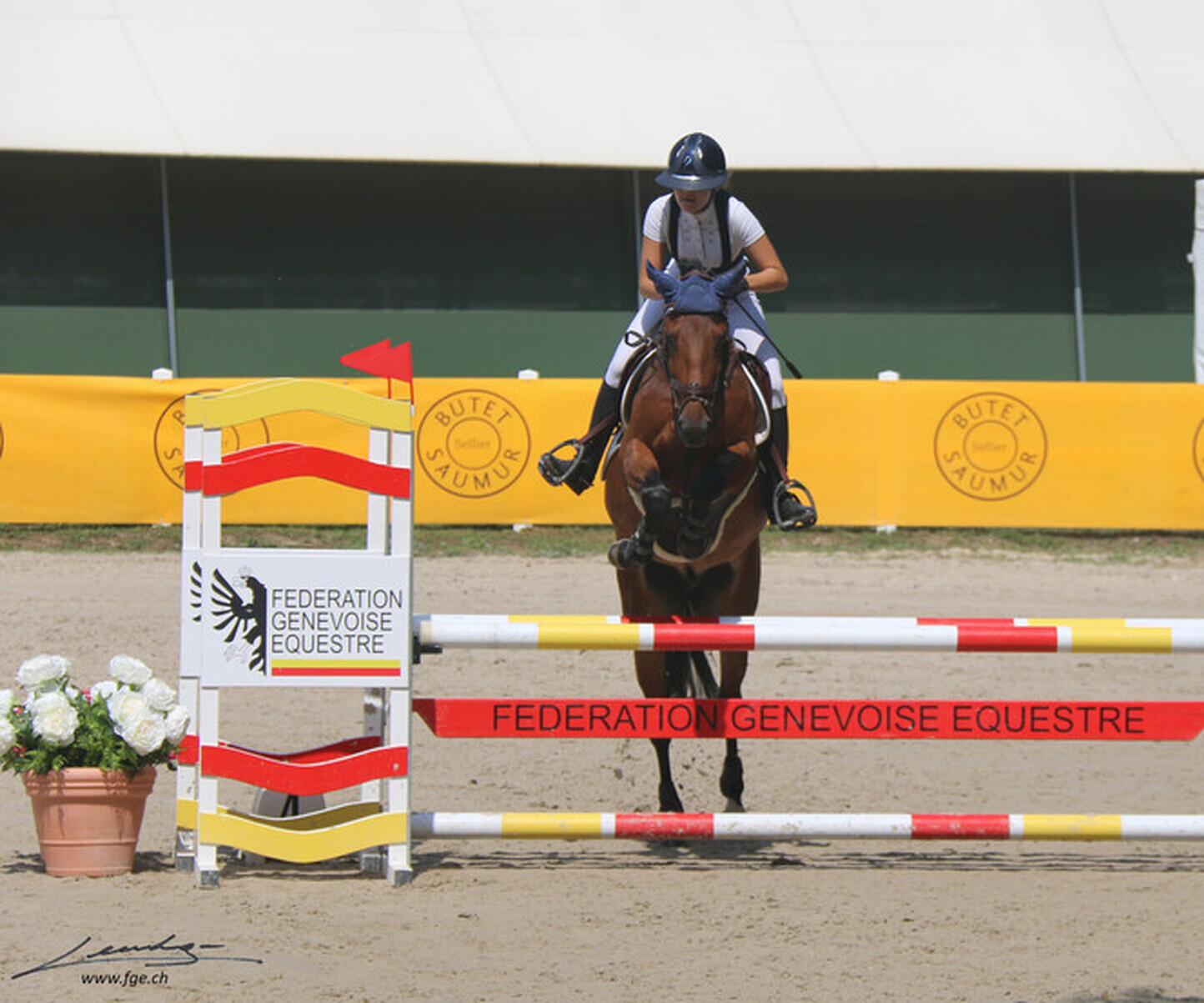 Description de l'image