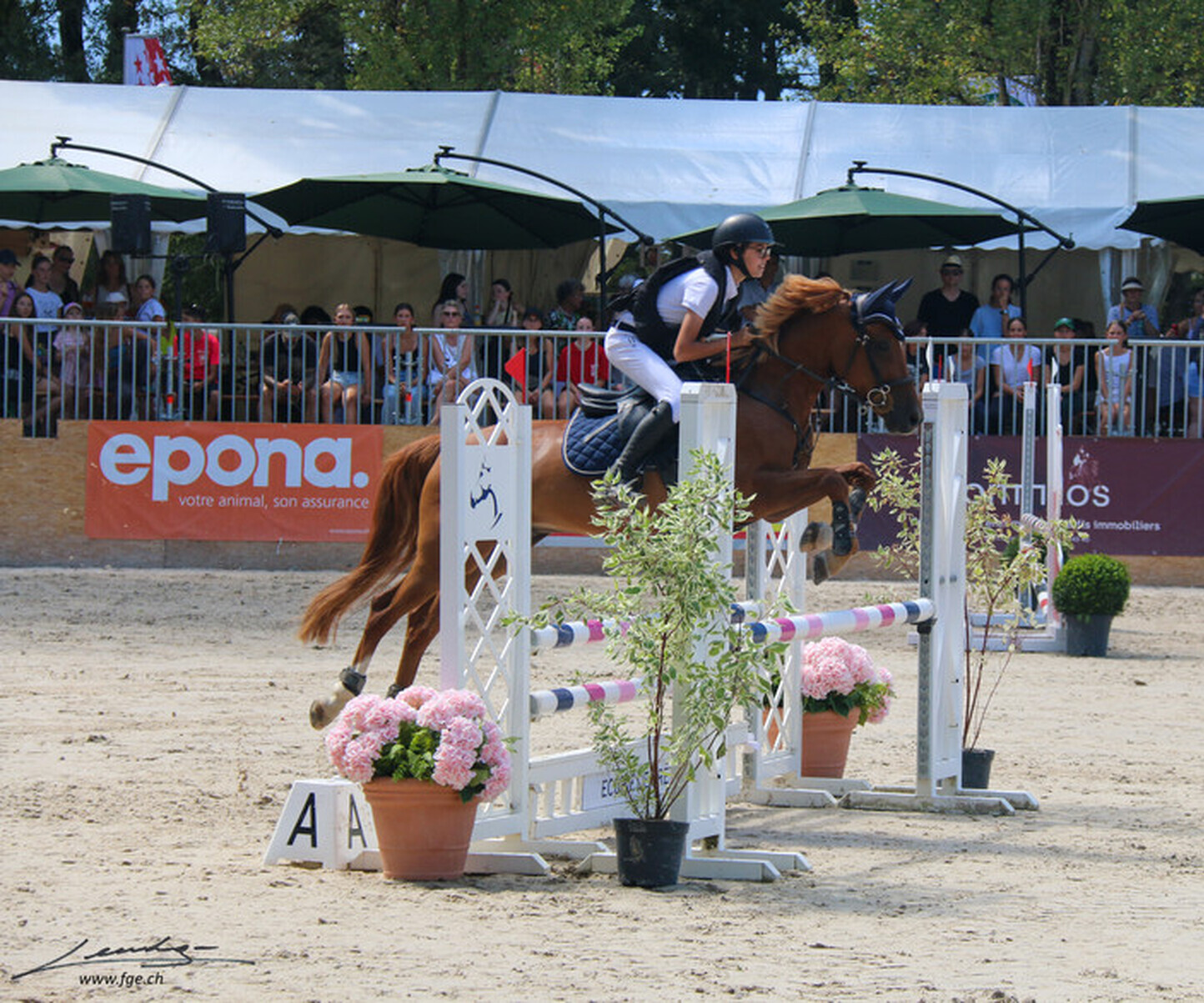 Description de l'image