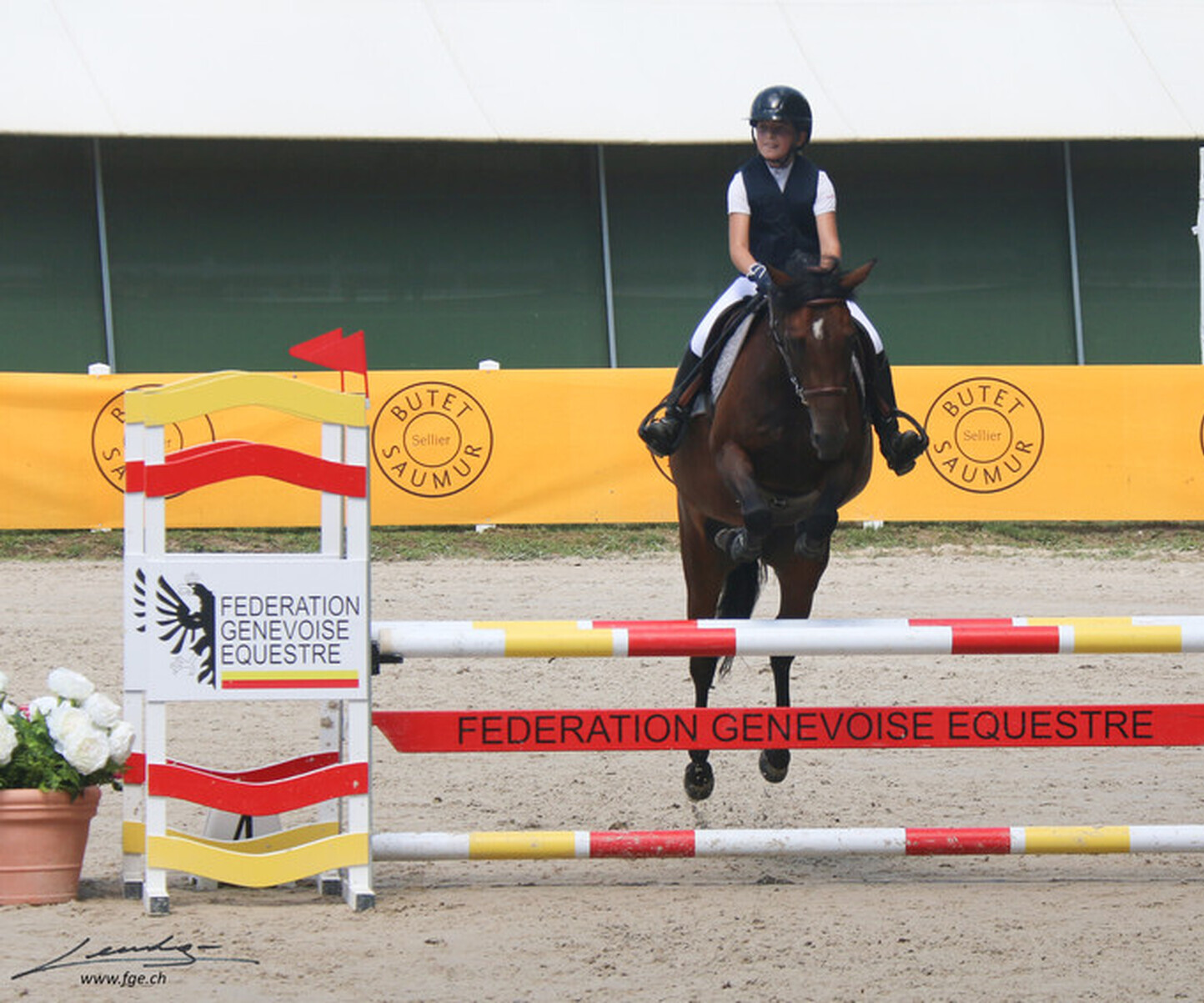 Description de l'image