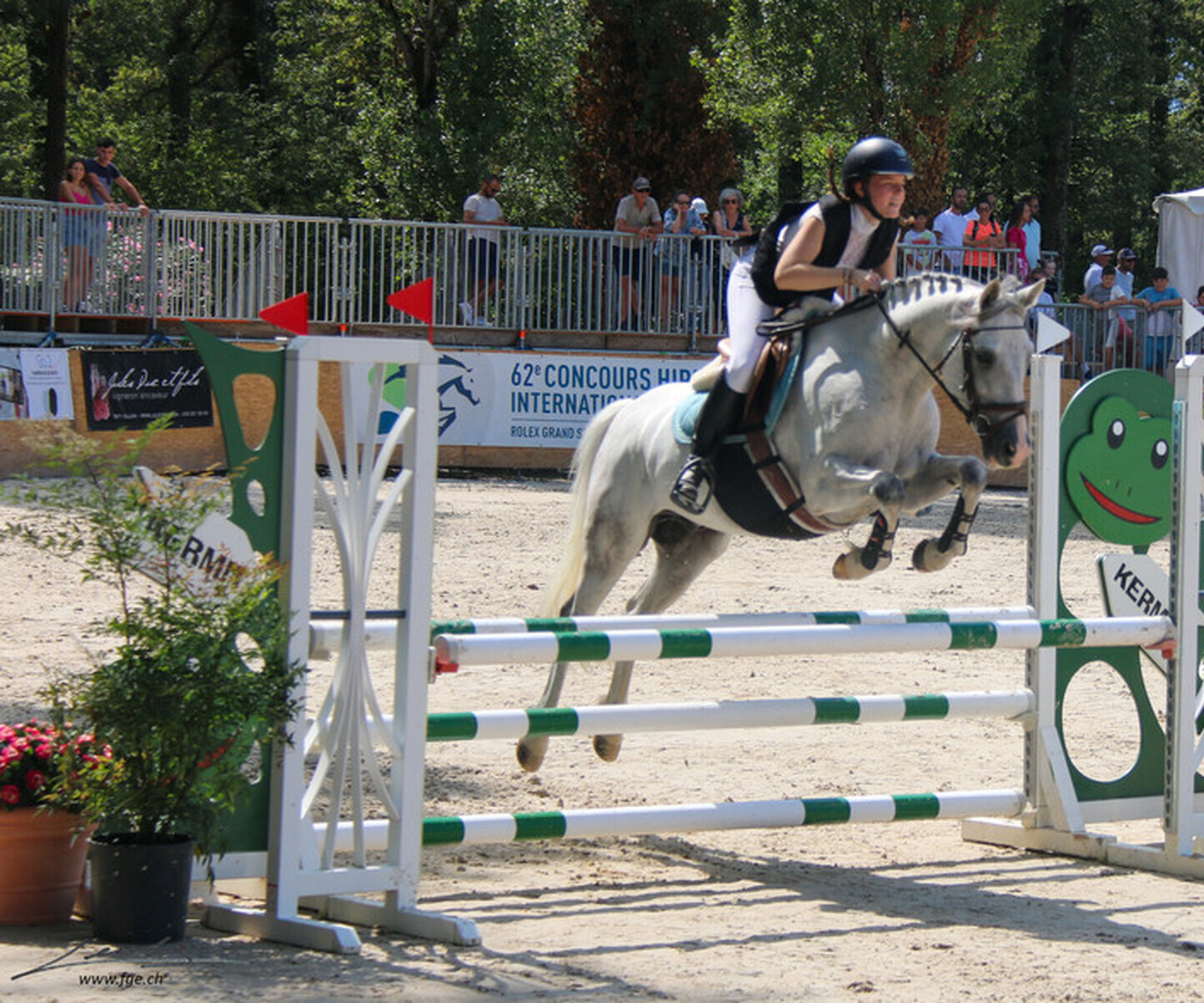 Description de l'image