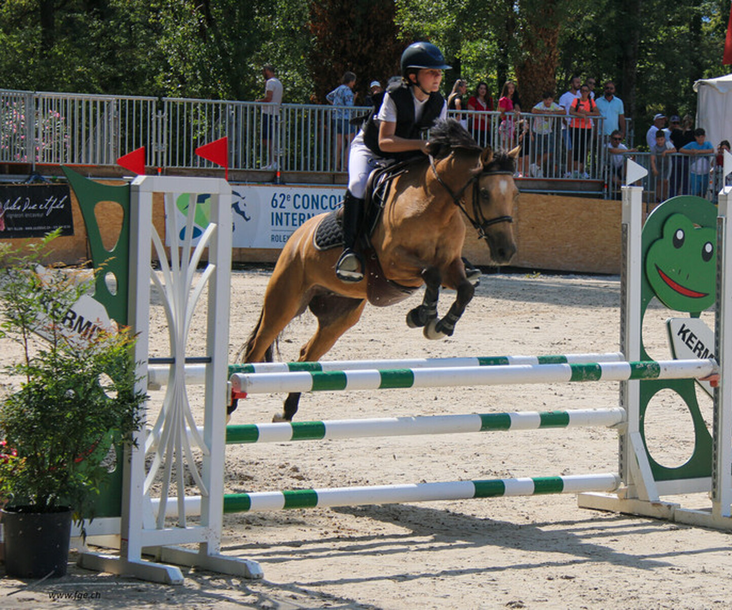 Description de l'image