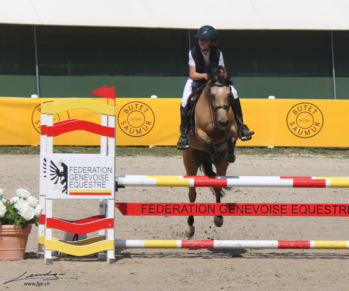 Description de l'image