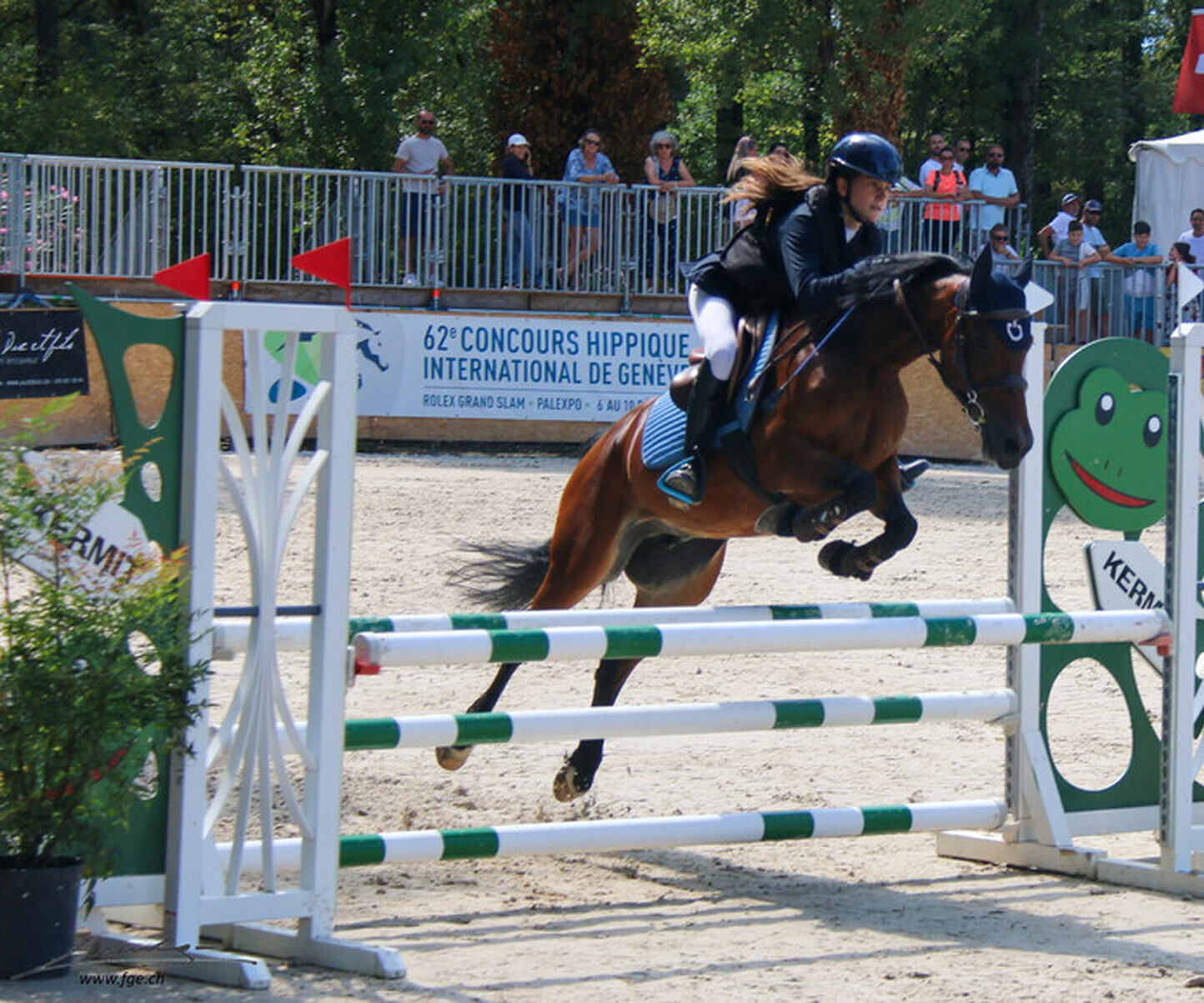 Description de l'image