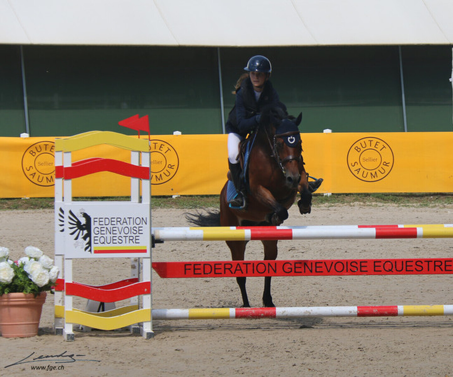 Description de l'image