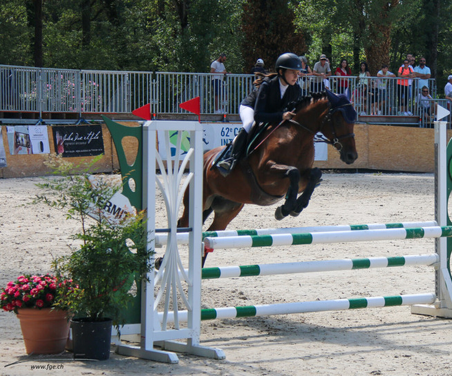 Description de l'image