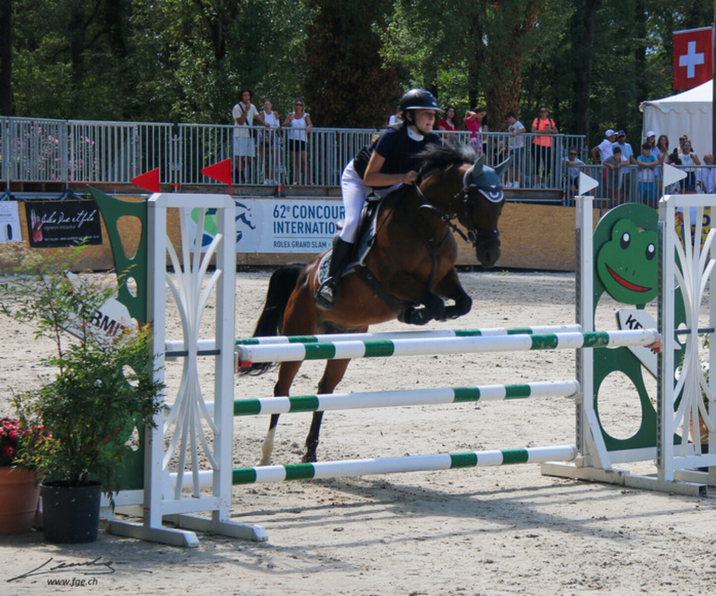 Description de l'image