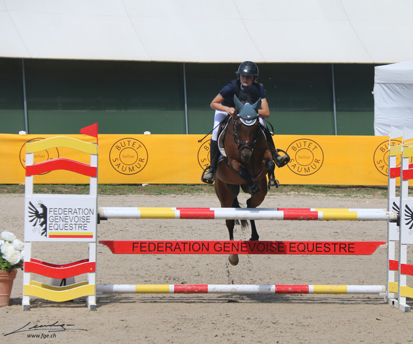 Description de l'image