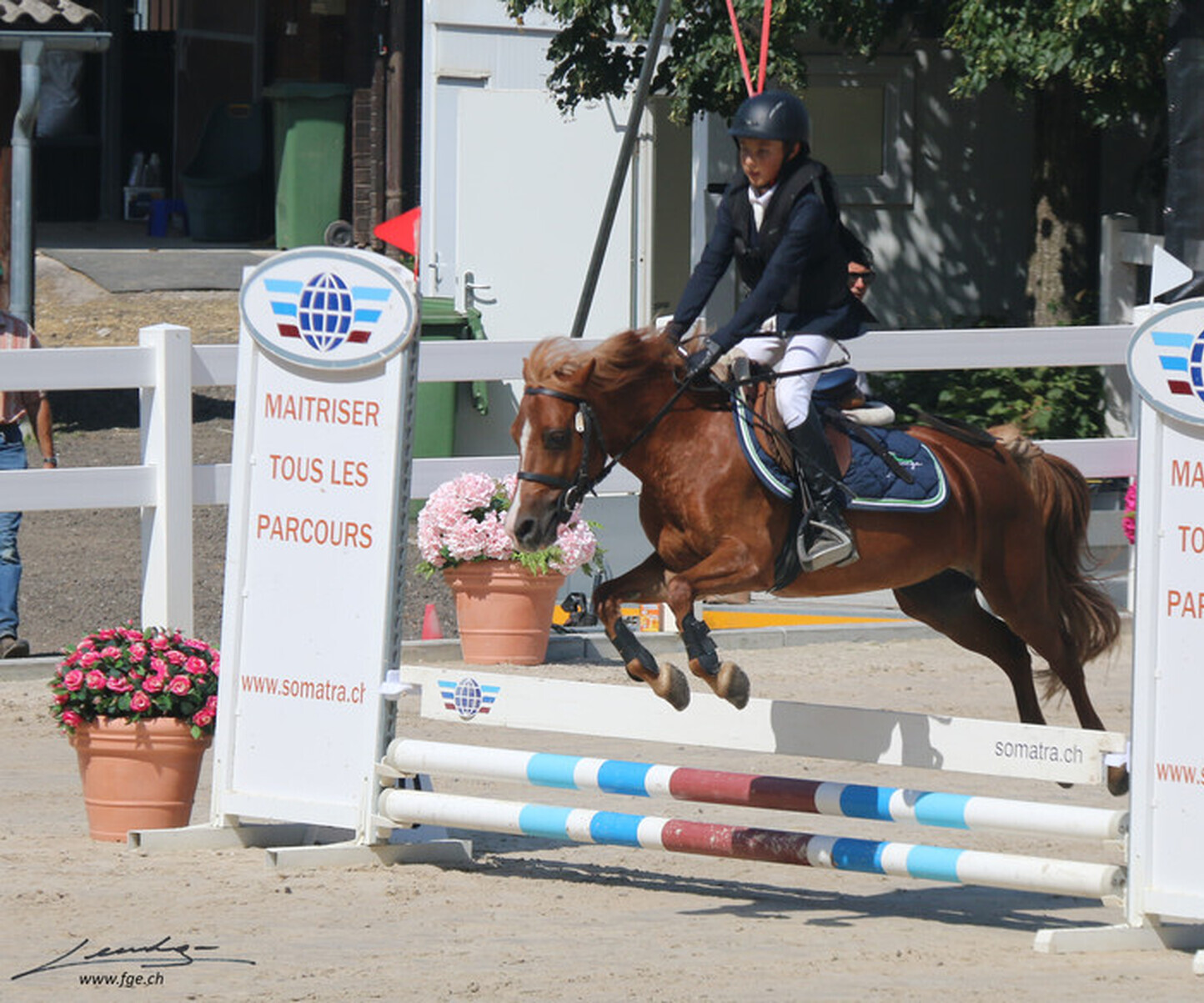 Description de l'image