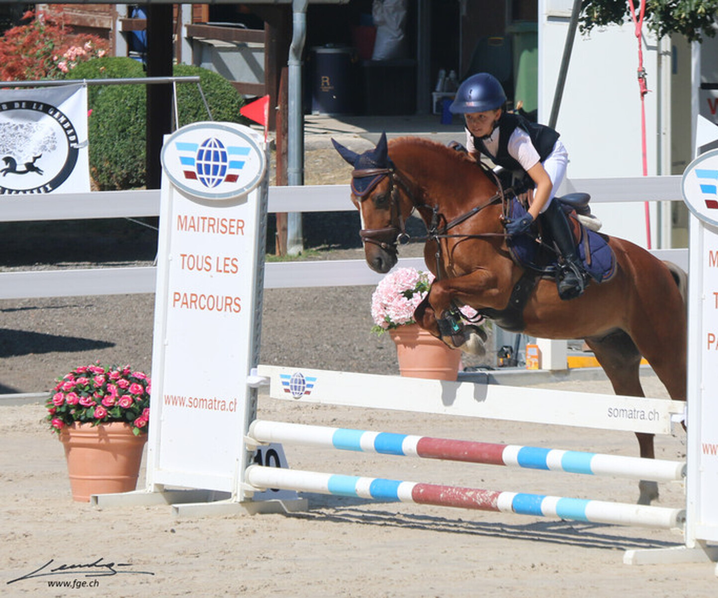 Description de l'image