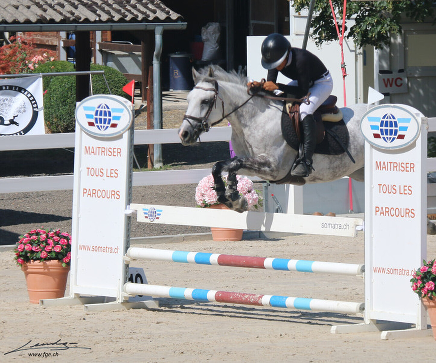 Description de l'image