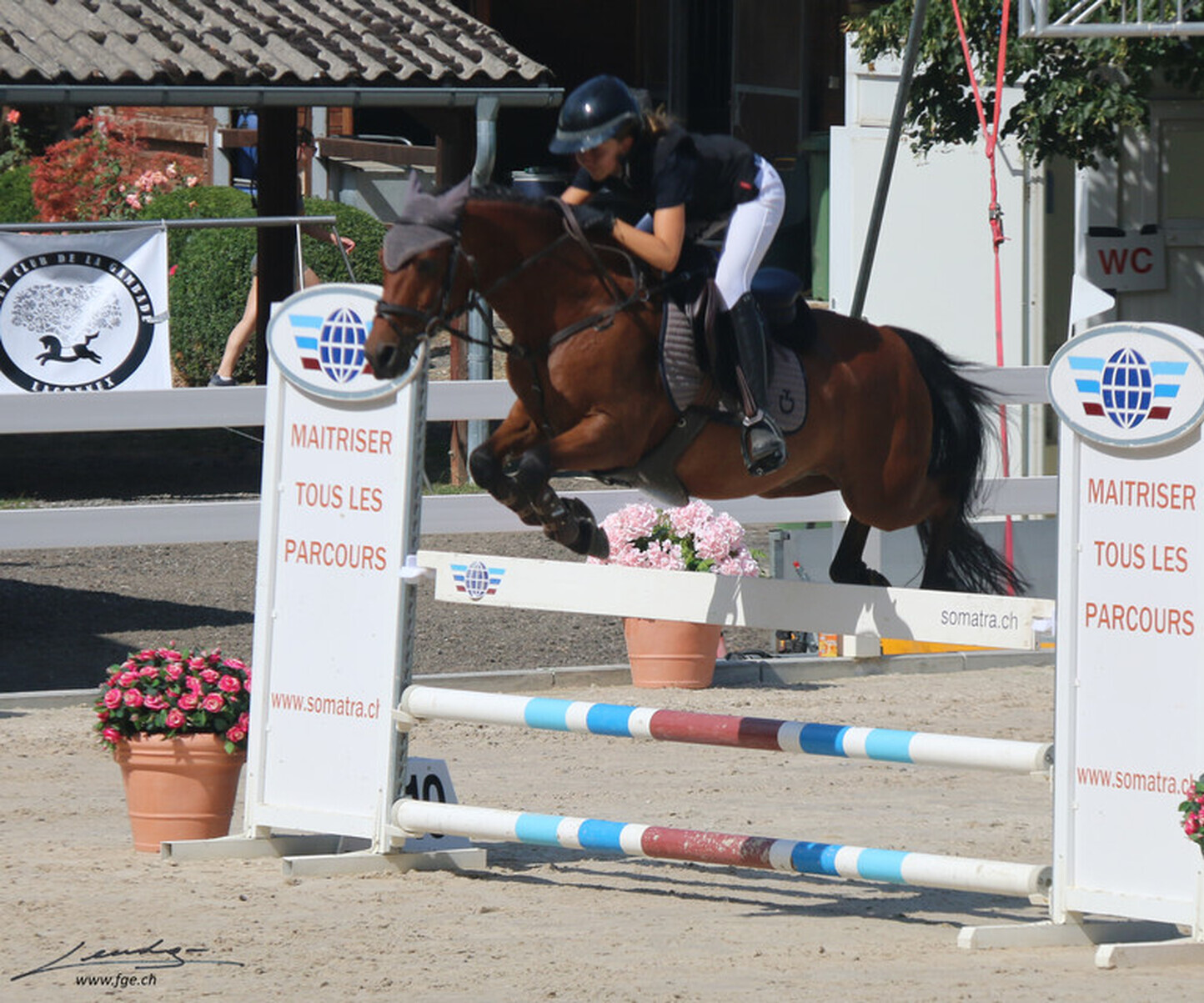 Description de l'image