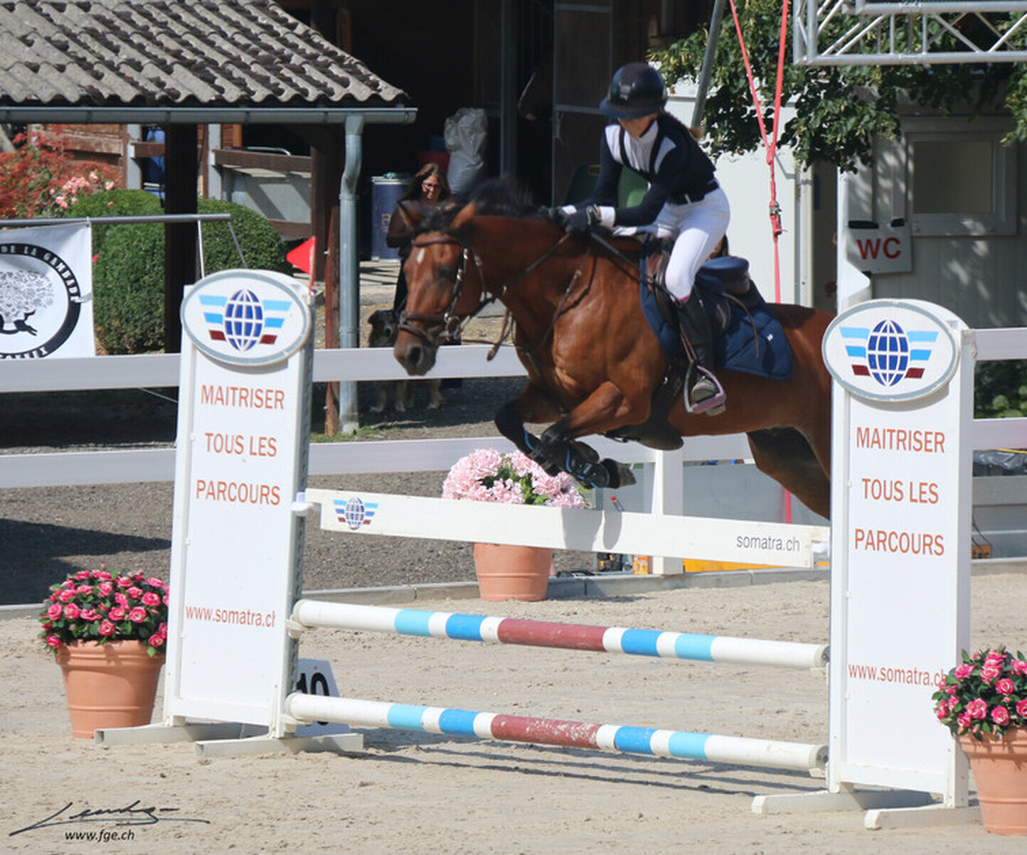 Description de l'image