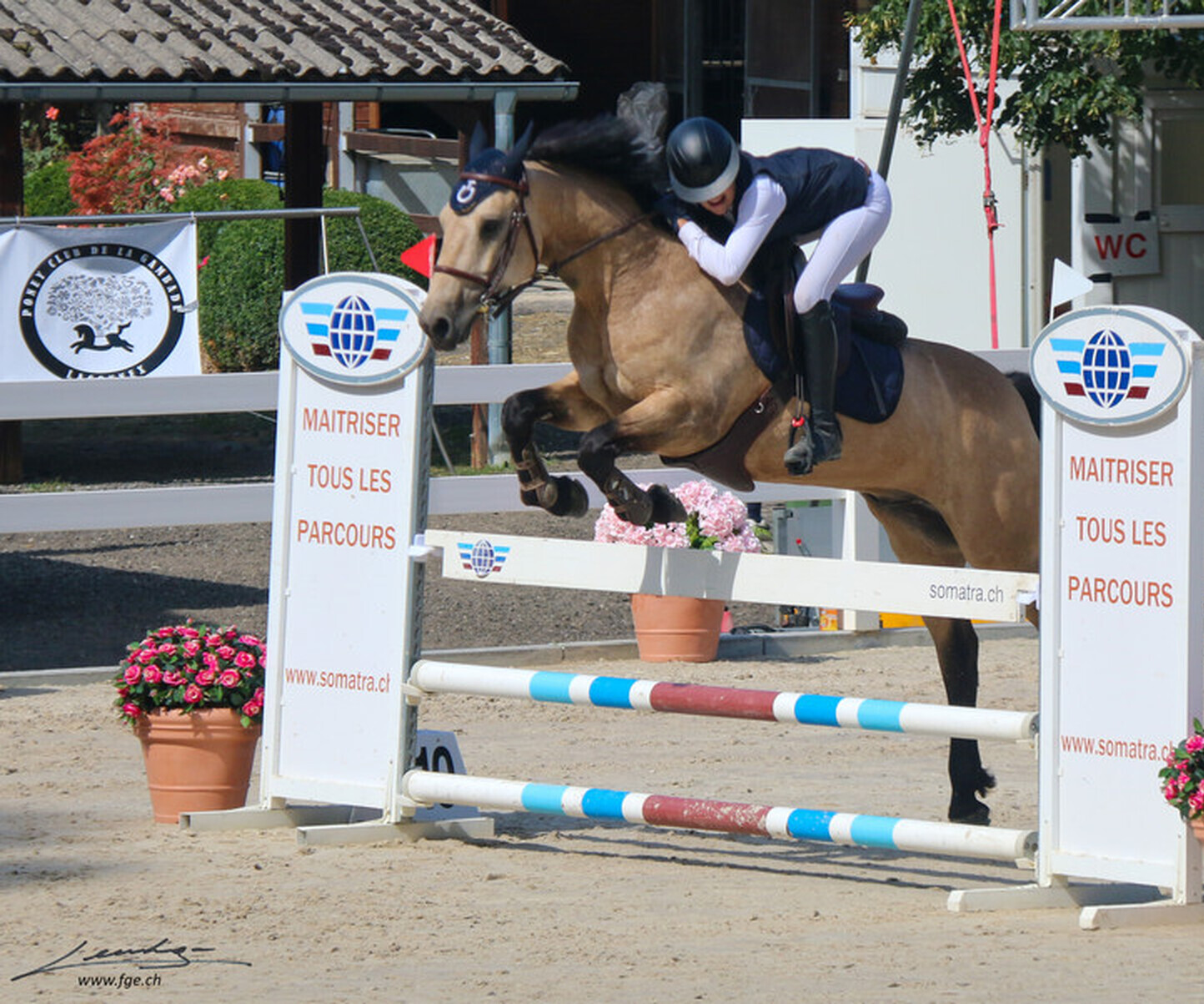 Description de l'image