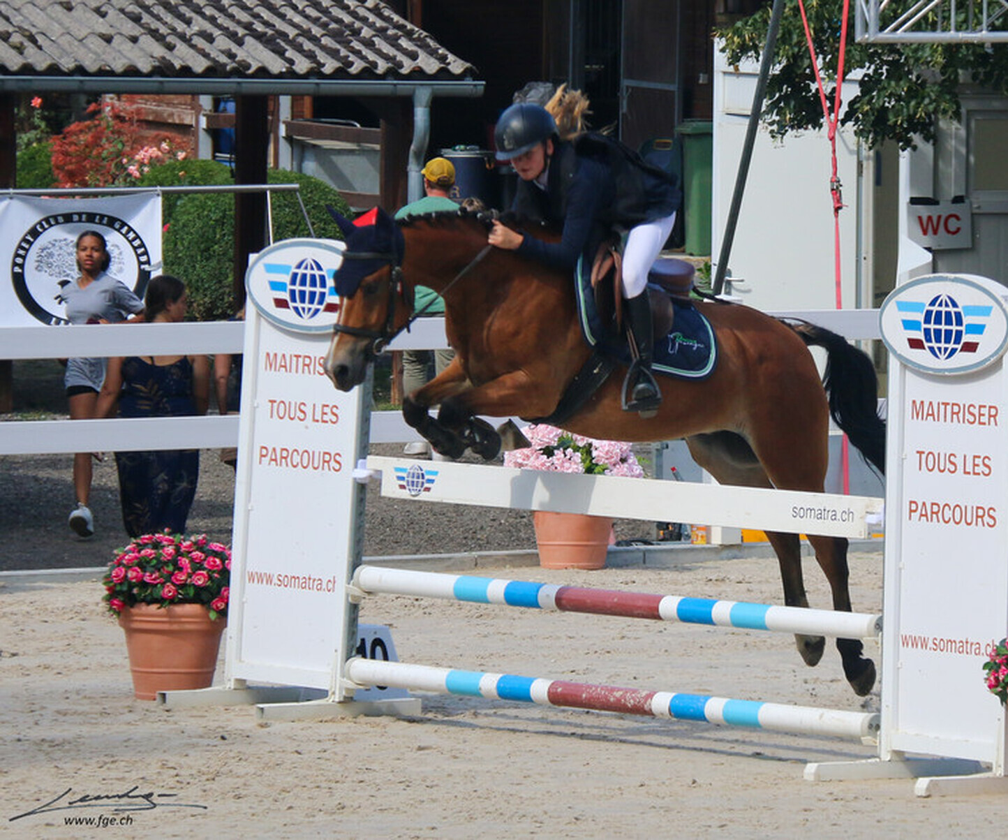 Description de l'image