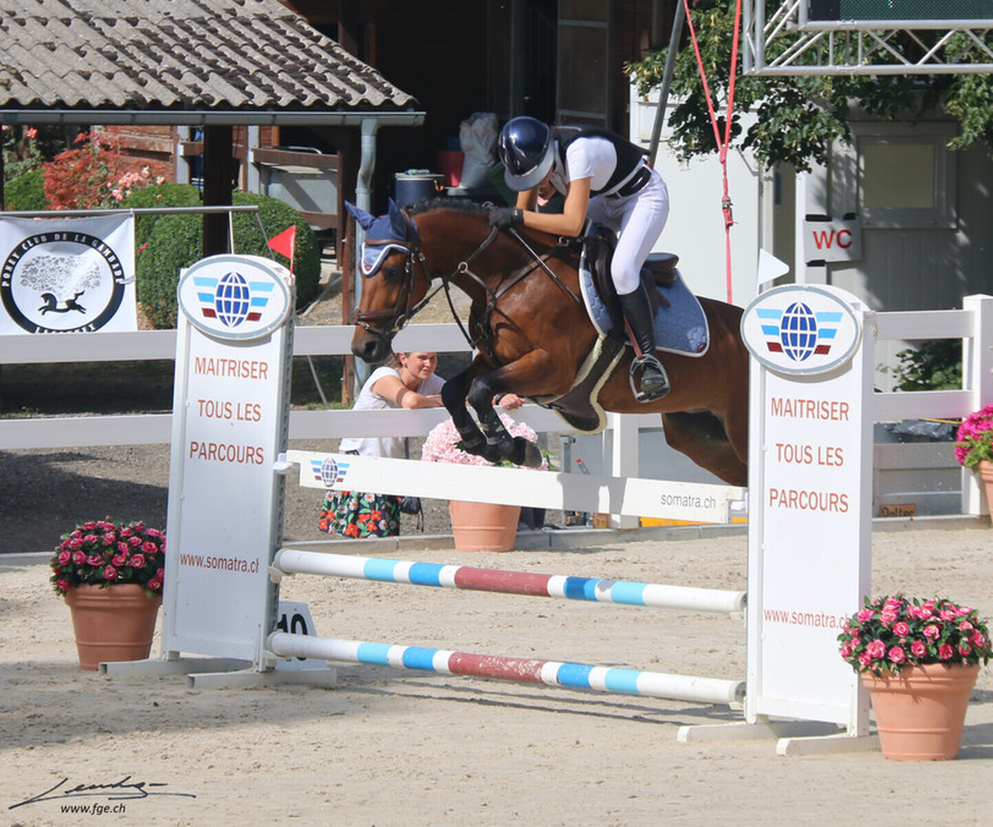 Description de l'image