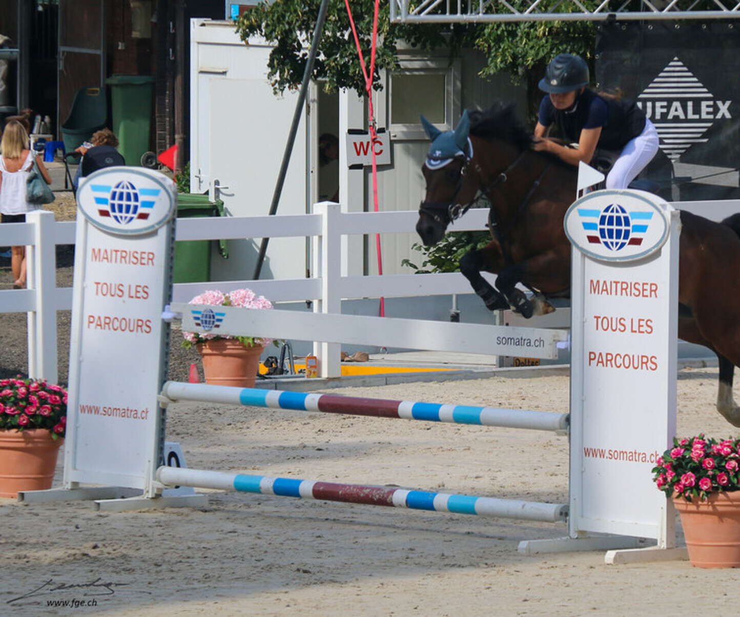 Description de l'image