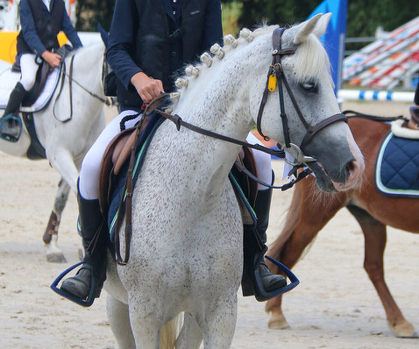 Description de l'image