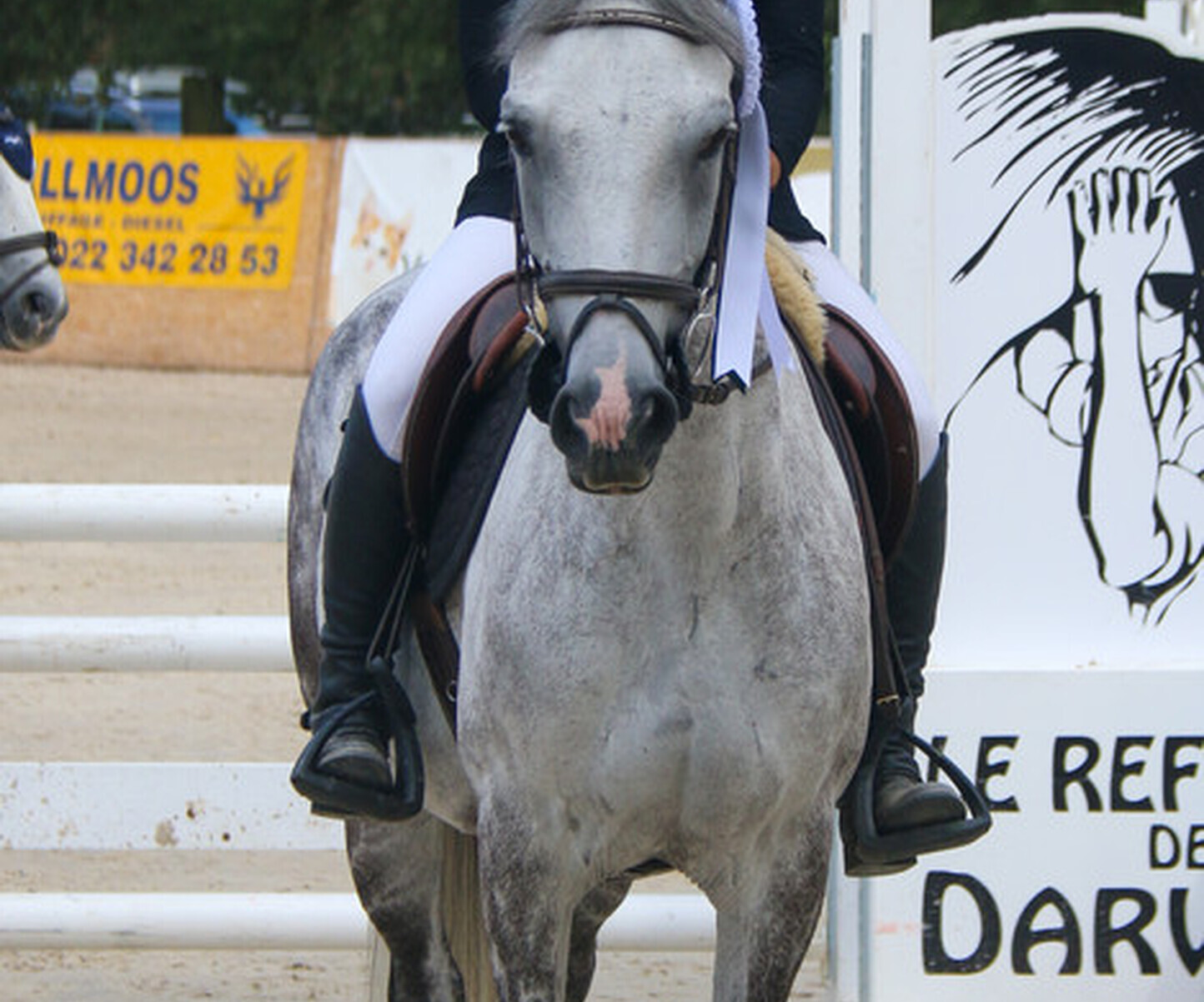 Description de l'image