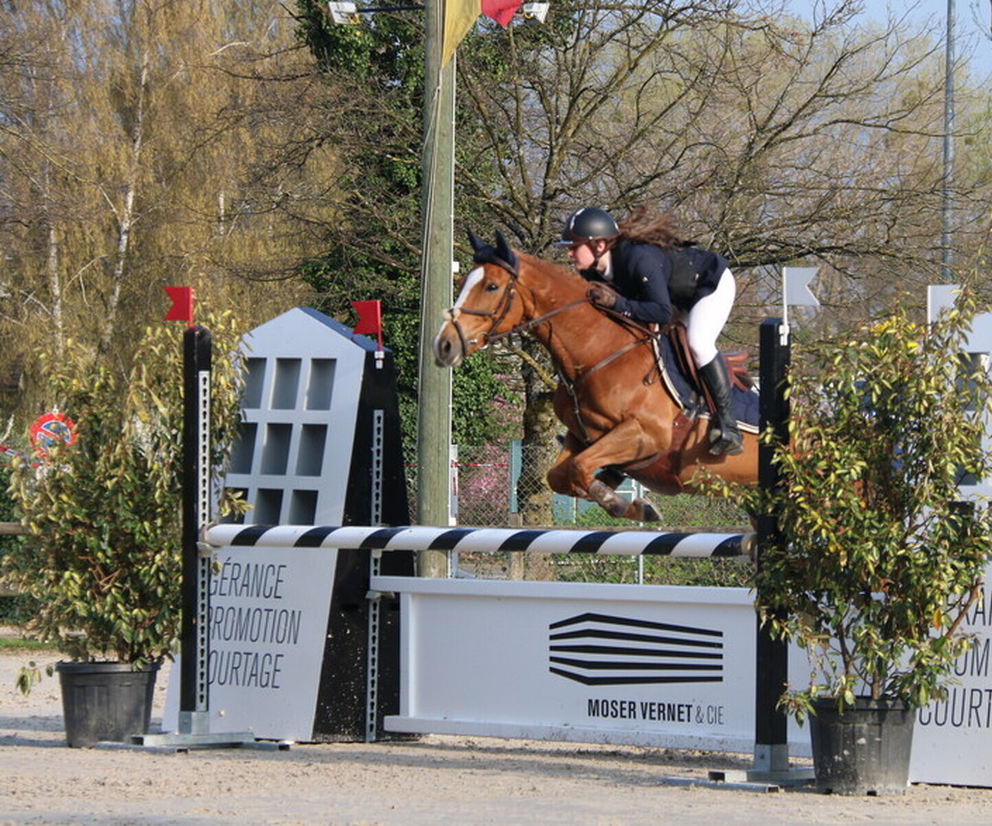 Description de l'image